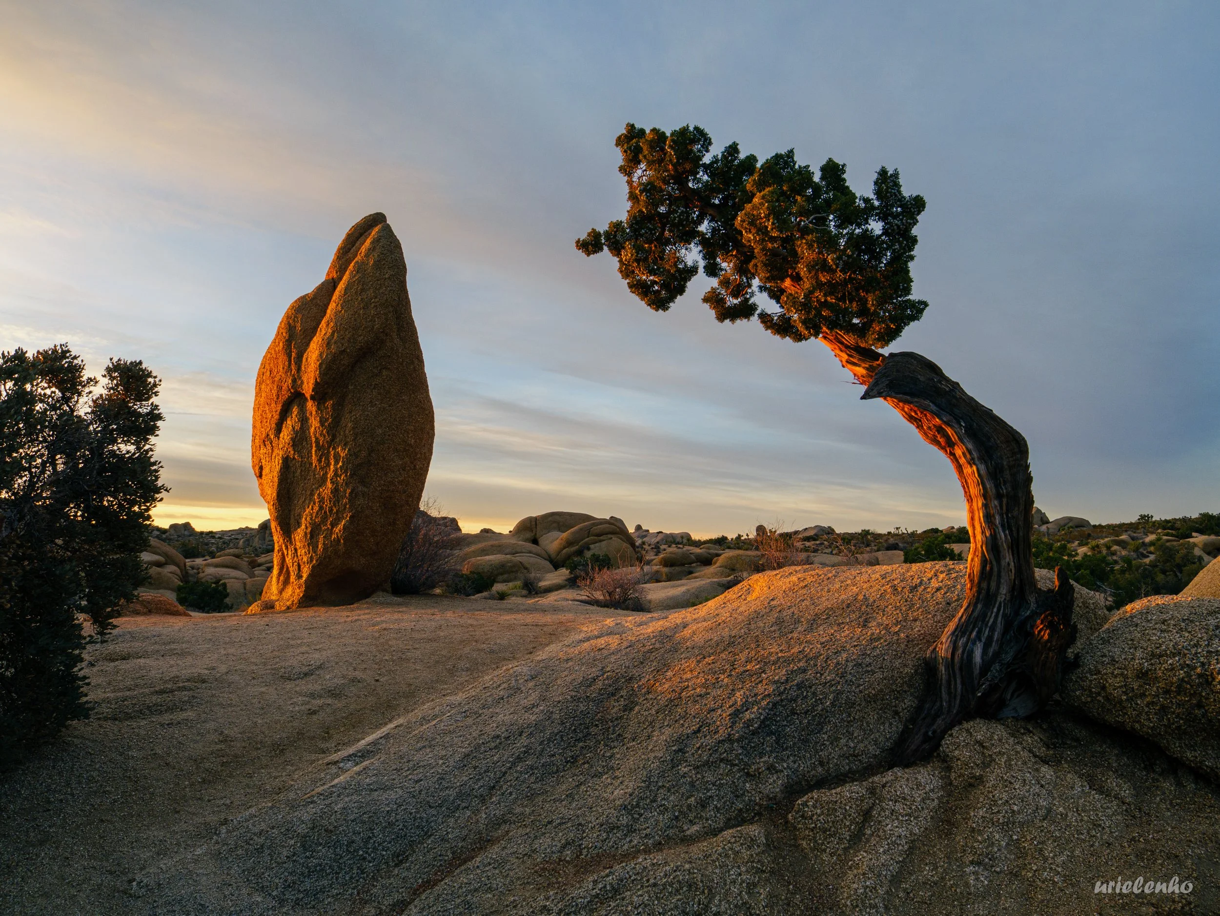 Penguin Rock at the Jumbo Rocks Campground in Joshua Tree