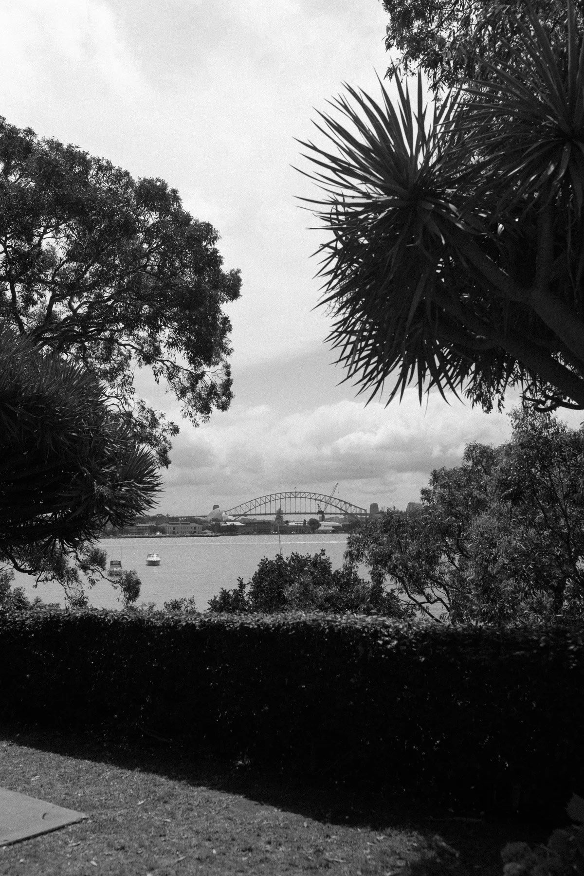 franca-potts-point-wedding-robert-meredith-072.jpg