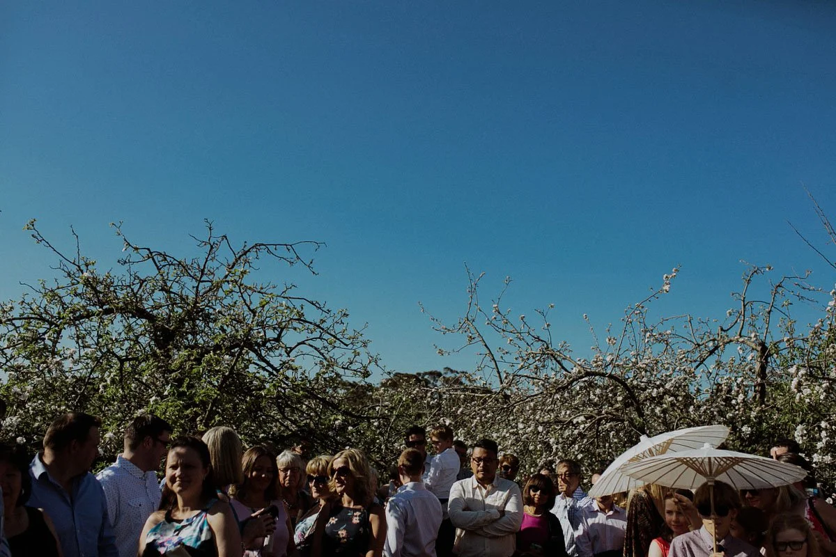 logan_brae_blue_mountains_wedding.037.jpg
