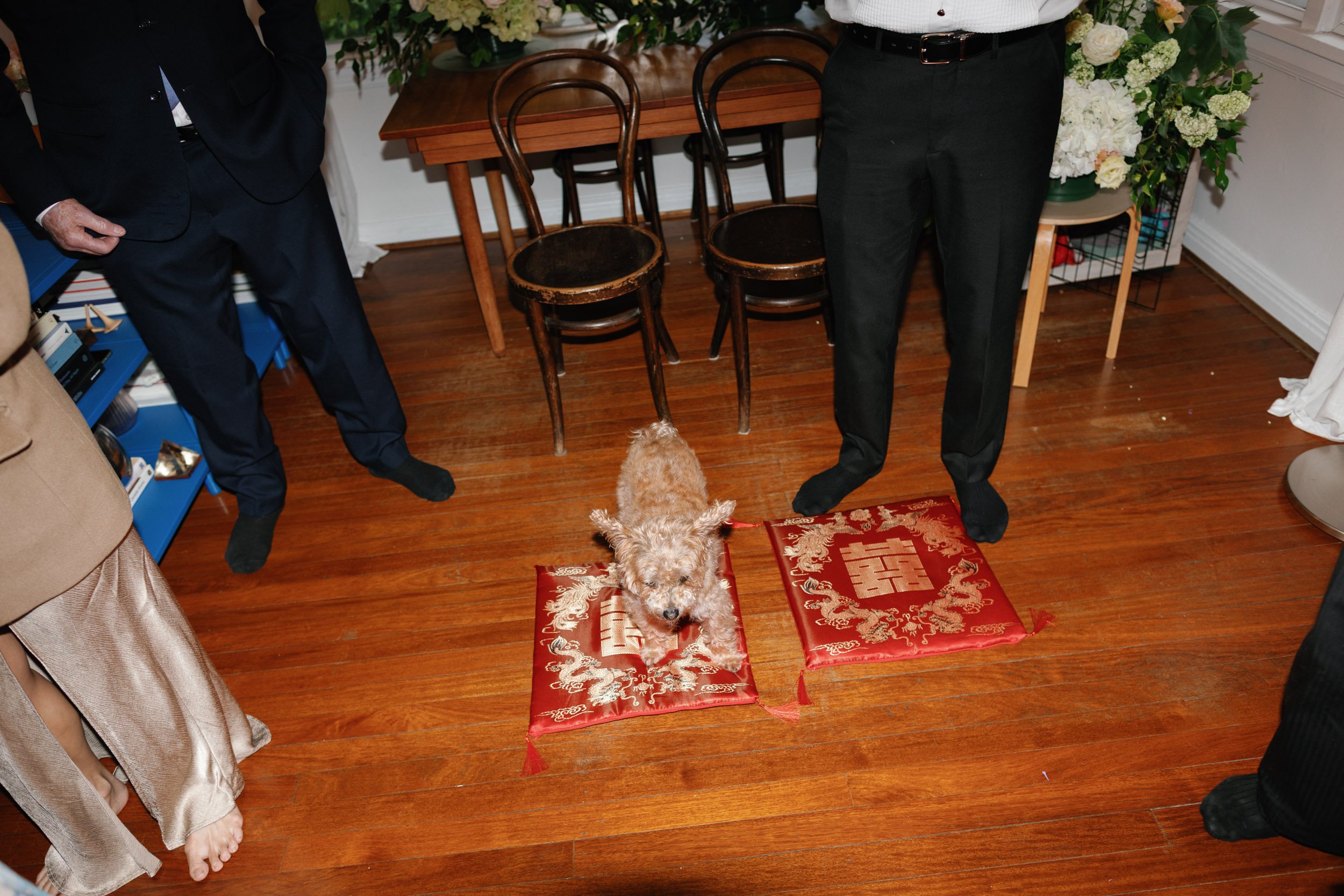 franca-potts-point-wedding-robert-meredith-055.jpg