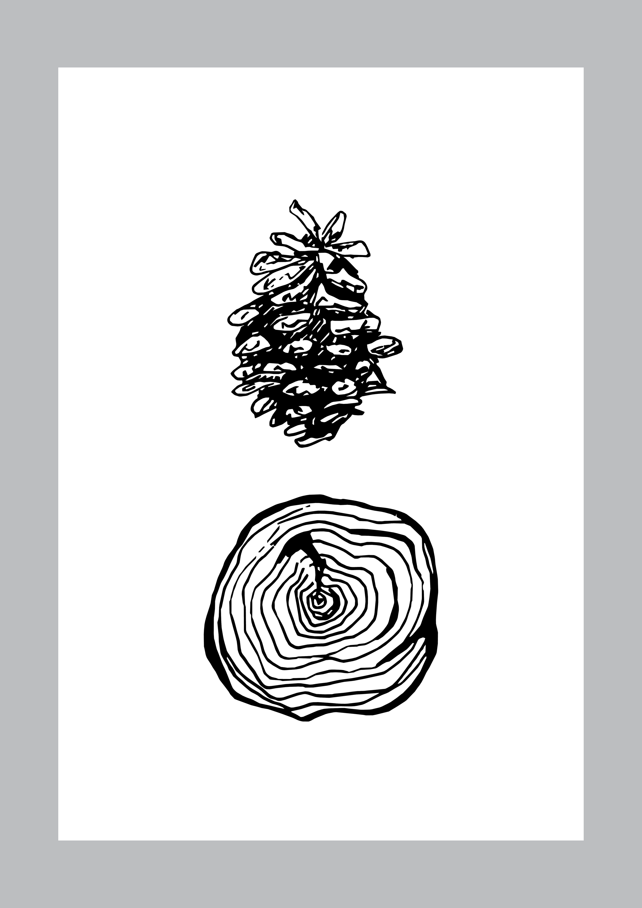 TQA_Forest Haul_illustration_2026.png