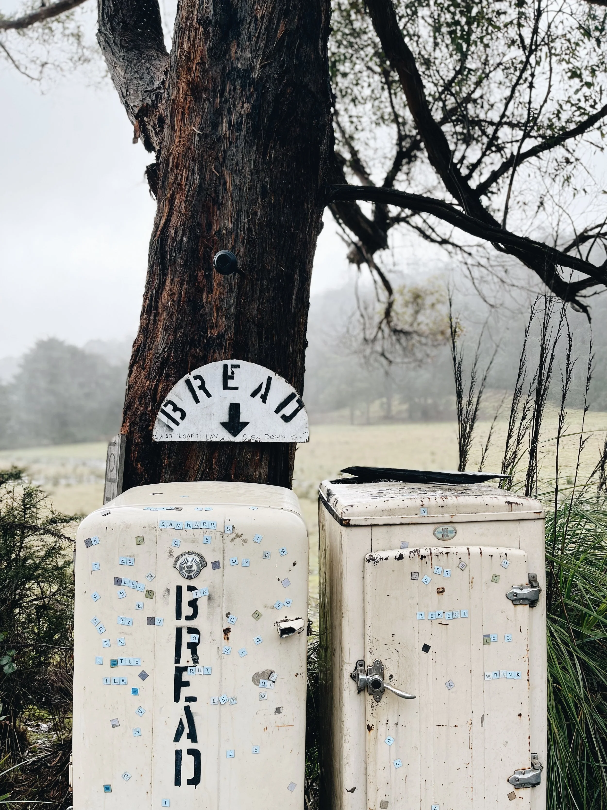 Three old white mailboxes covered with scattered letter tiles, situated in front of a large tree with dark, textured bark. The background features a foggy landscape with fields and faint trees.