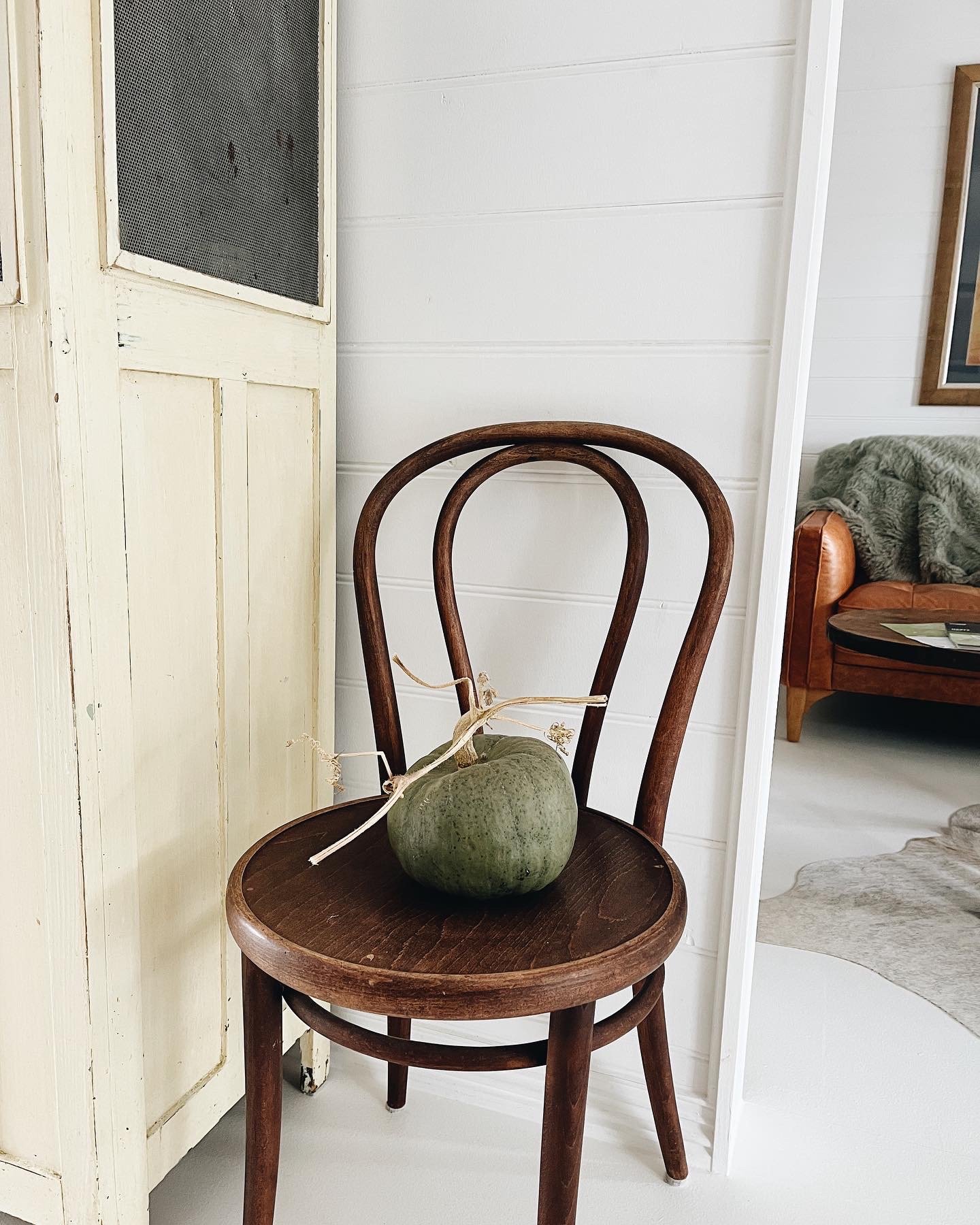 A green pumpkin with a tied stem on a wooden chair in a cozy room.