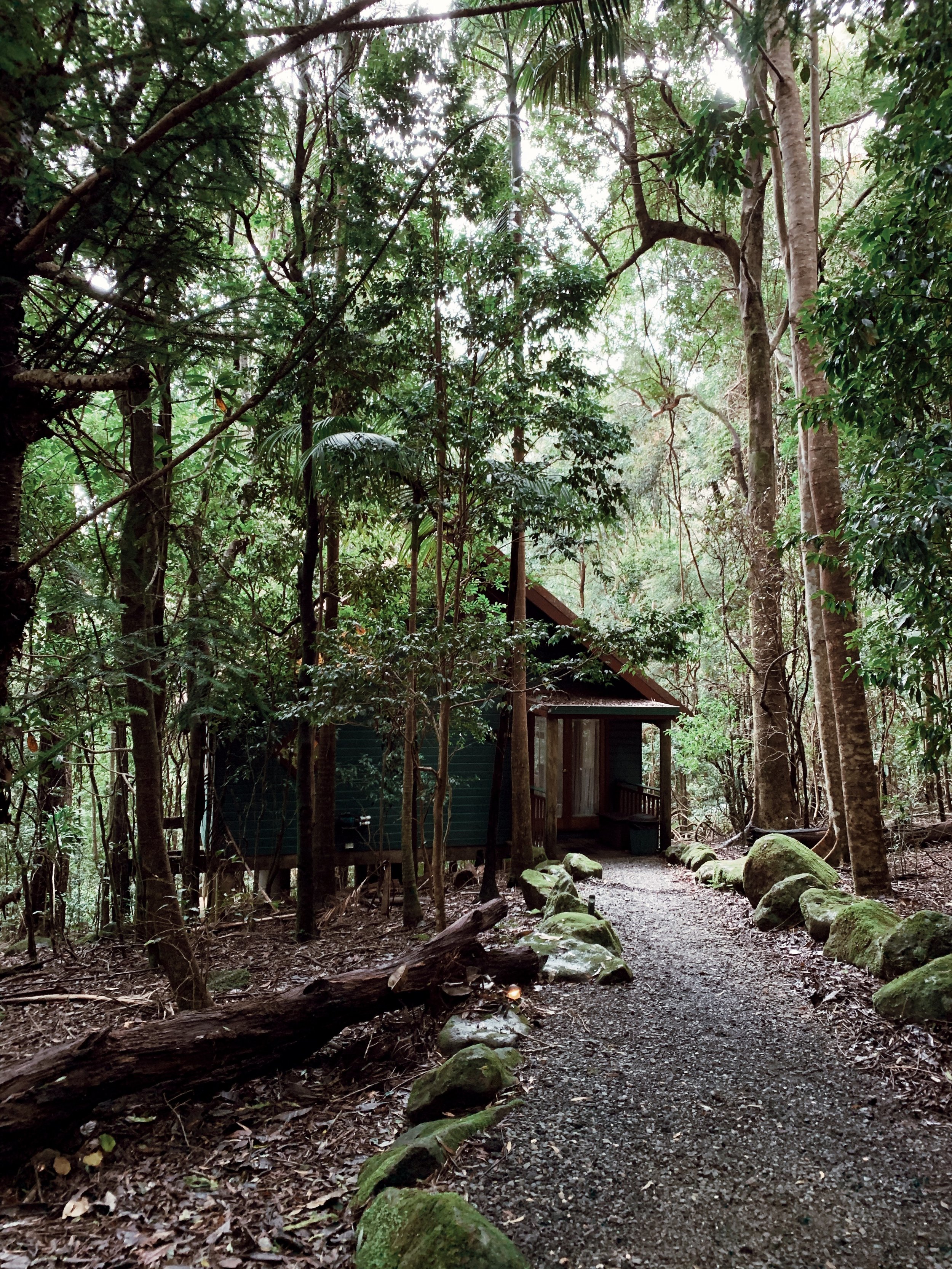 A wooded forest area with dense green foliage, trees, rocks, and a small wooden cabin or shed tucked among the trees, with a gravel pathway leading toward the structure.