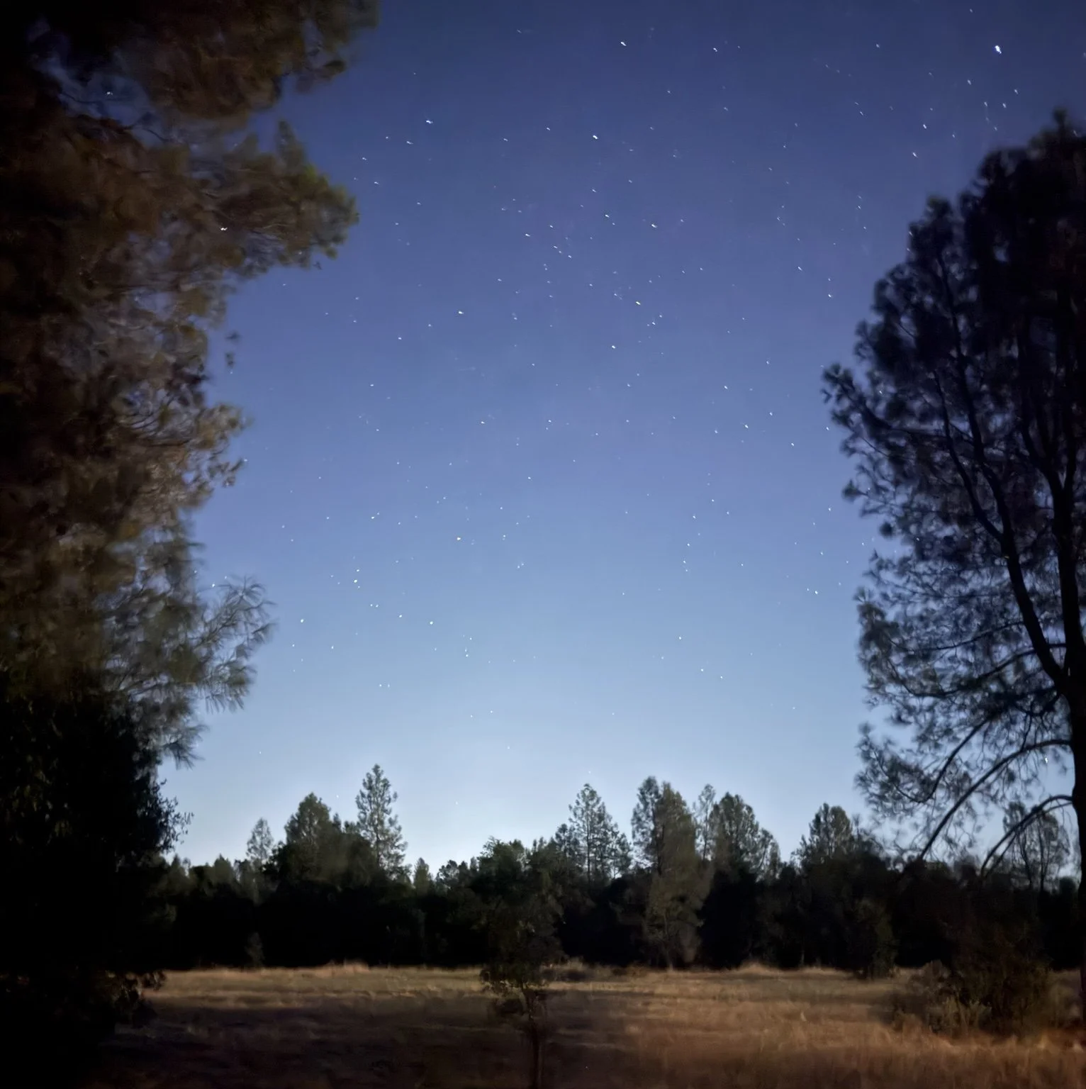 Starry Night Image