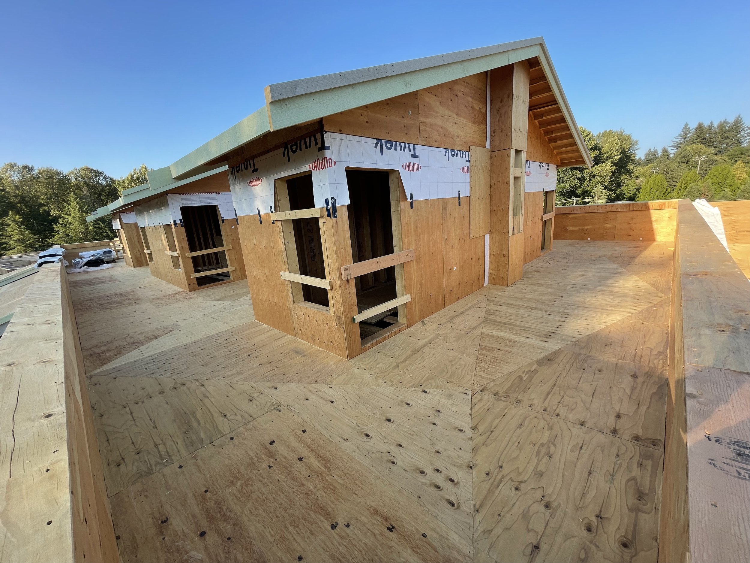 Construction site of a house with exposed wooden framing, plywood sheathing, and a partially built roof. Trees and a clear blue sky are visible in the background.