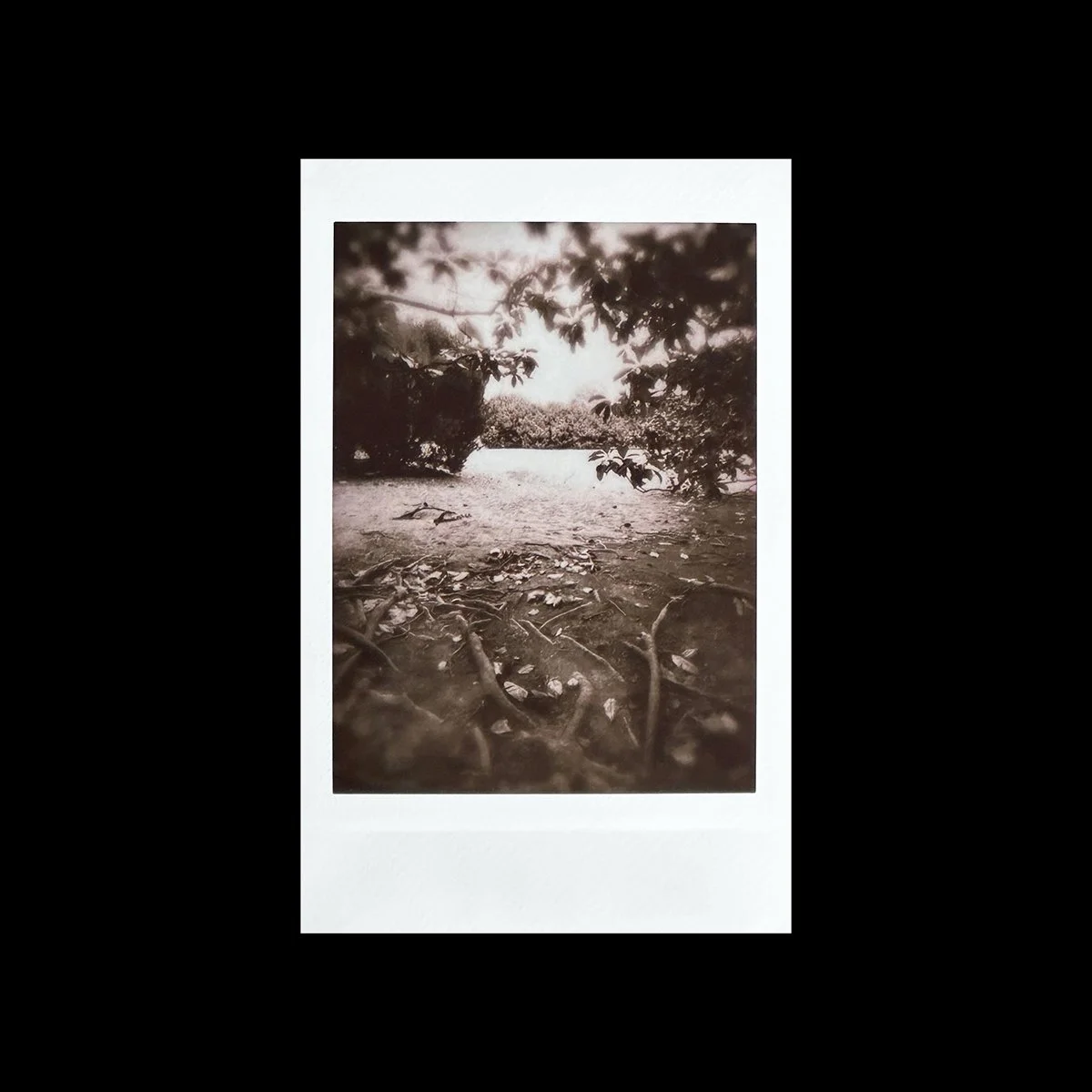 89-BlkBckrd-LowRes.jpg