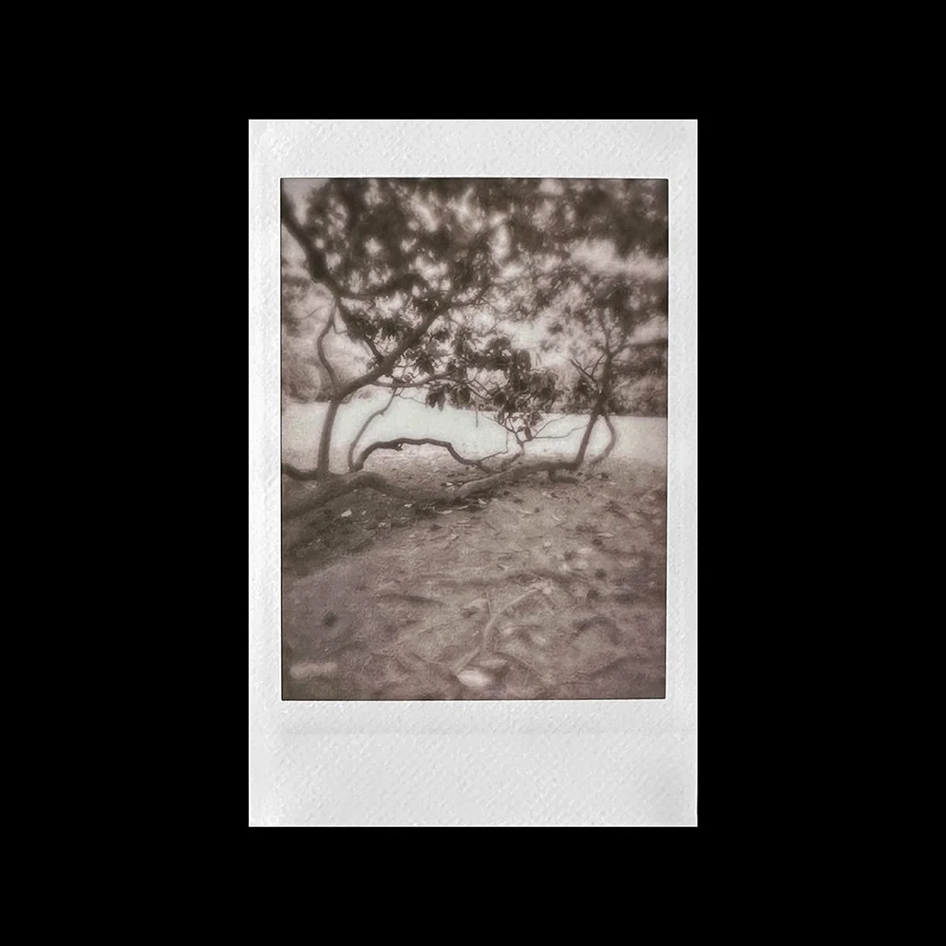 98.jpg