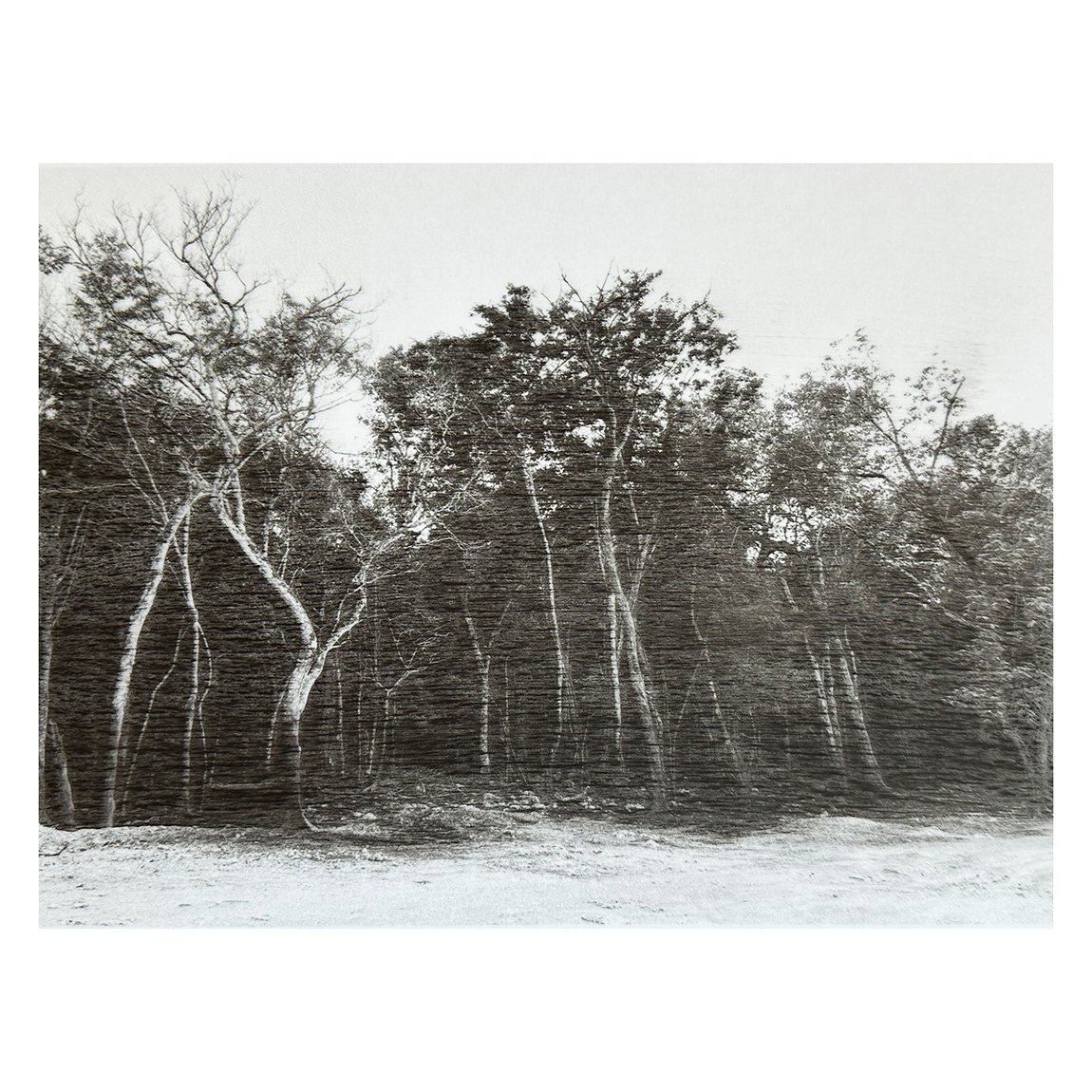 I Stand In Motion-LessBorders-NewSiteSM.jpg