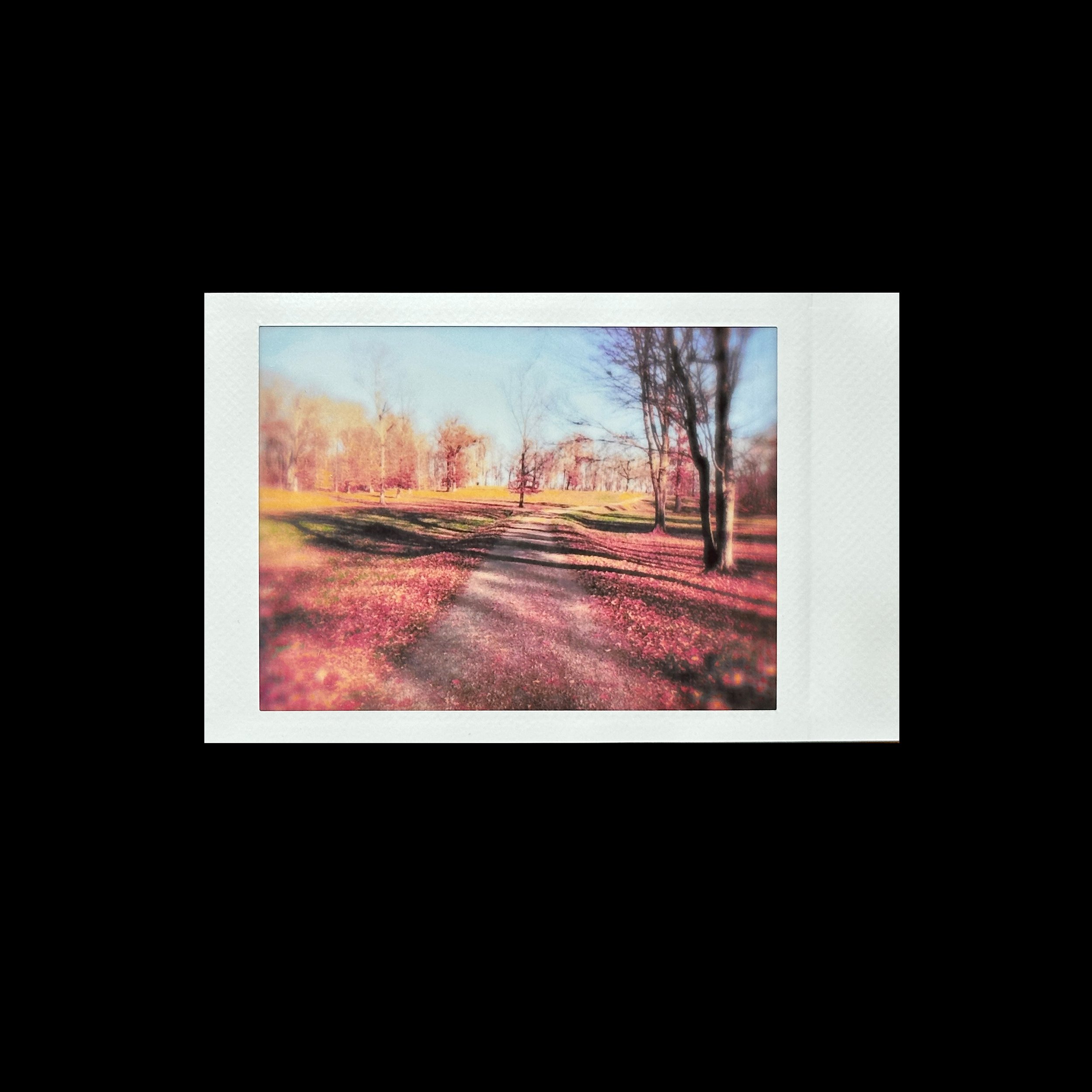 12-FallPath-Placed.jpg