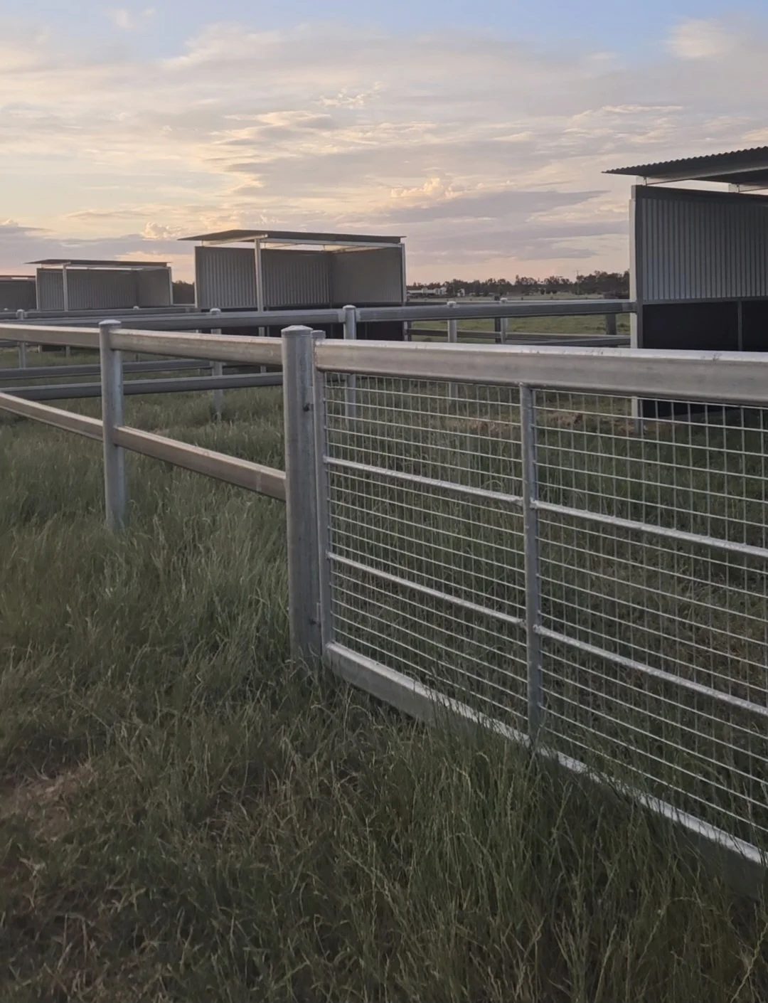 Balamara custom made day yards and shelters