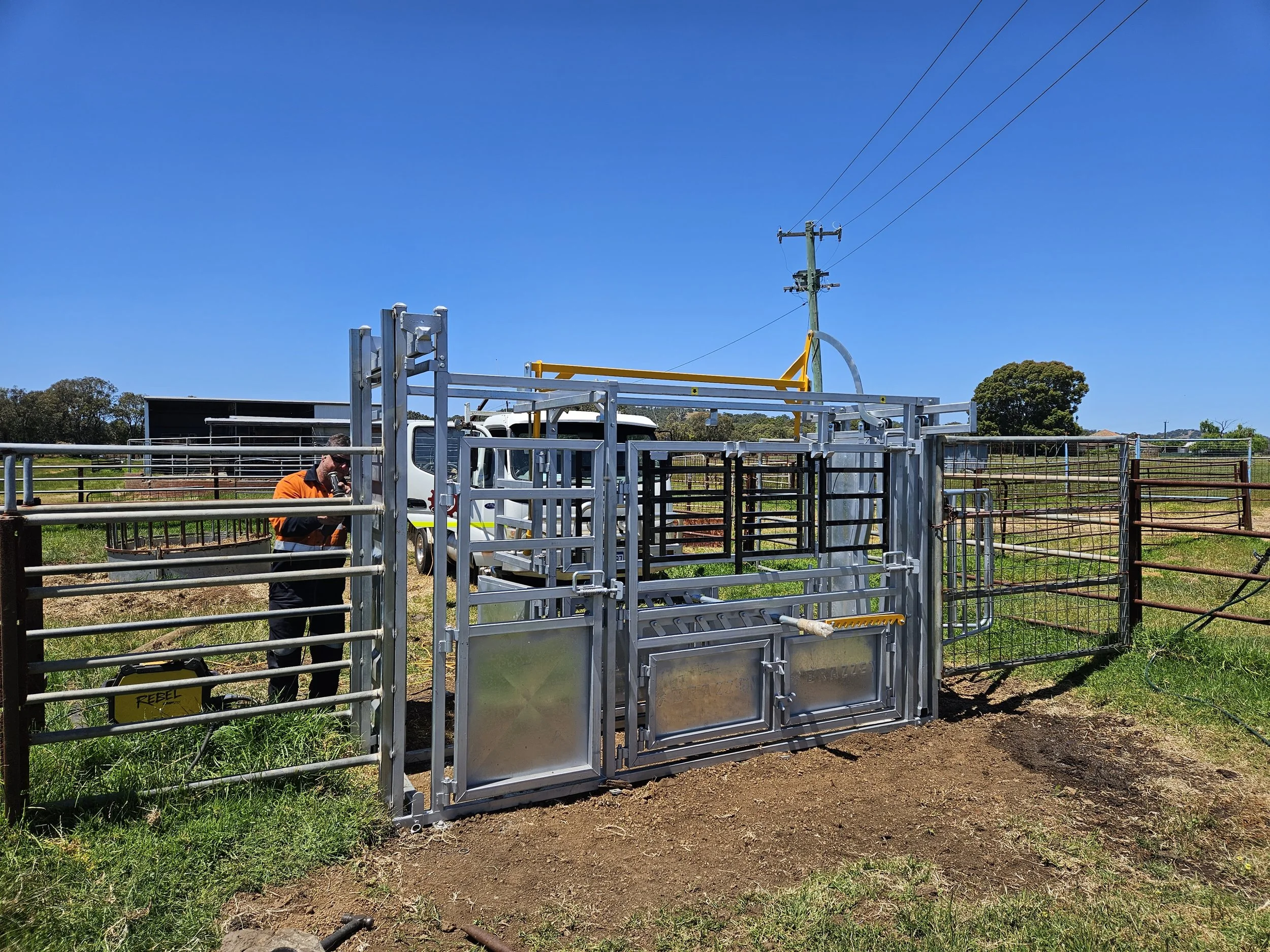 Balamara standard cattle vet crush