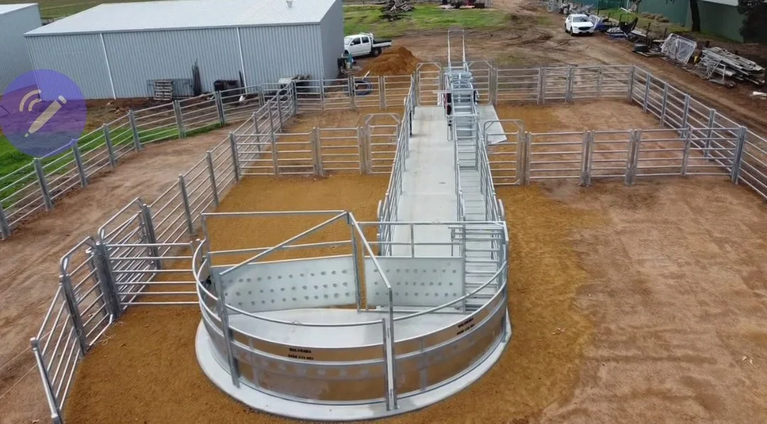 Balamara blind force yard, cattle yard