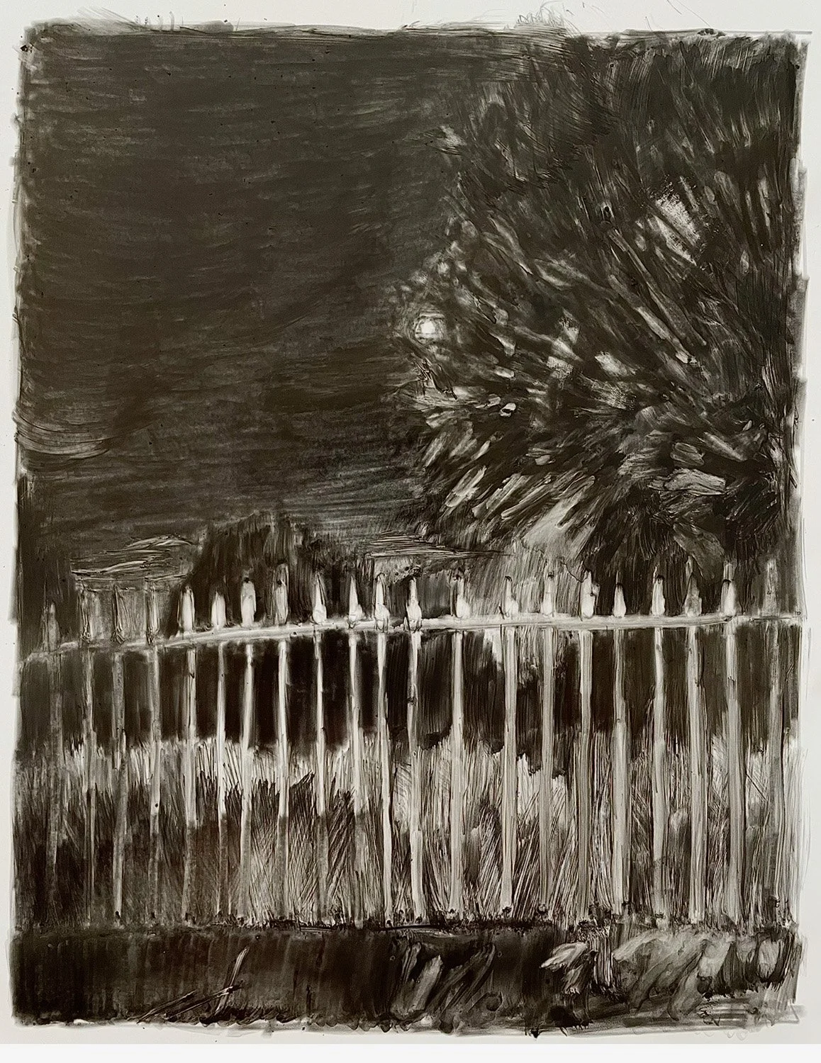 Centennial Park moon study, 2025
Graphite on yupo paper
42 x 29 cm