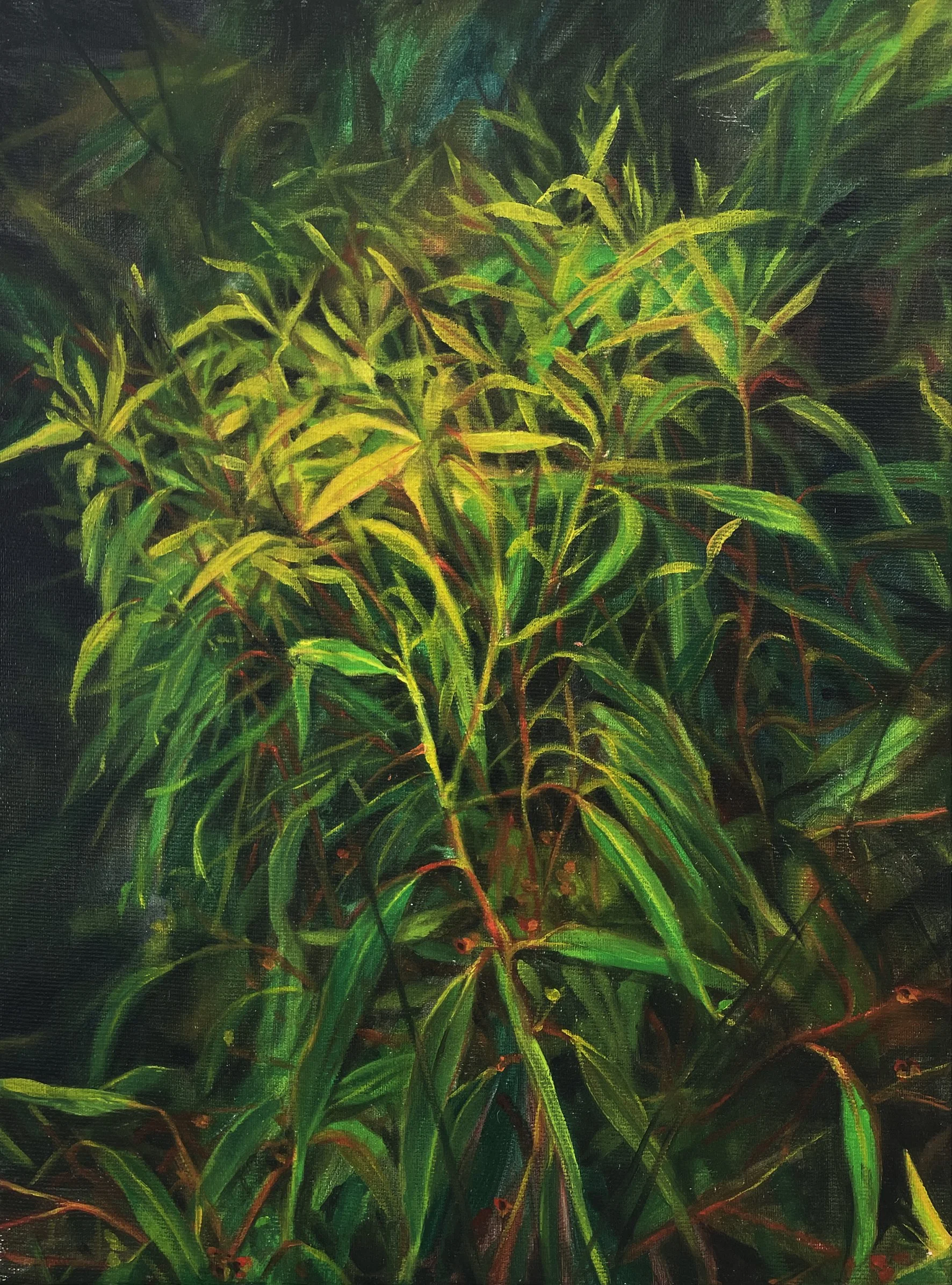 Night gardening, 2021
Oil on canvas
42 x 32 cm
SOLD