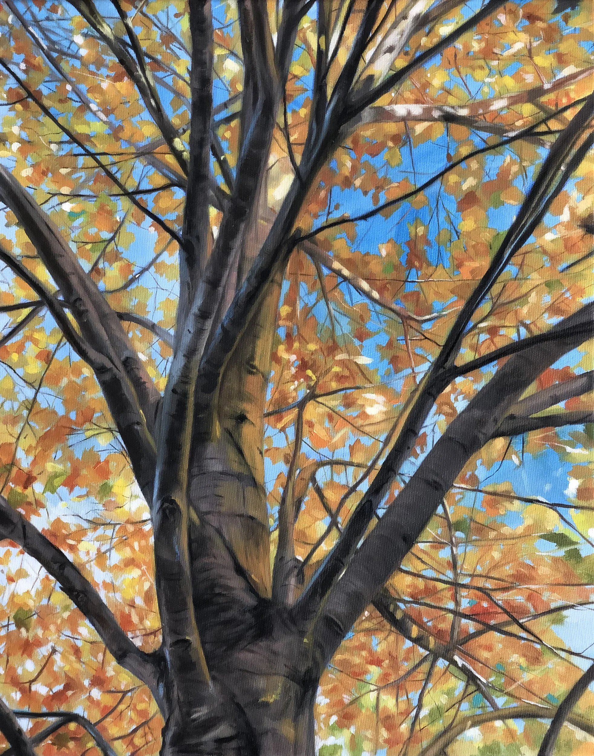 Tree climbing, 2021
Oil on canvas
50 x 40 cm
SOLD