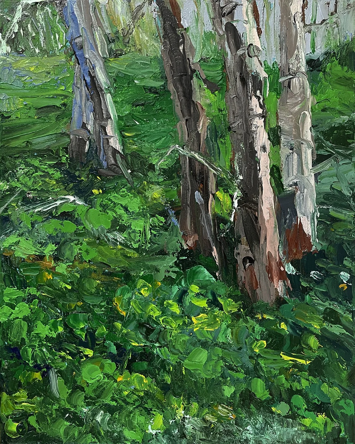 Gully morning, 2022
Oil on canvas
28 x 23 cm