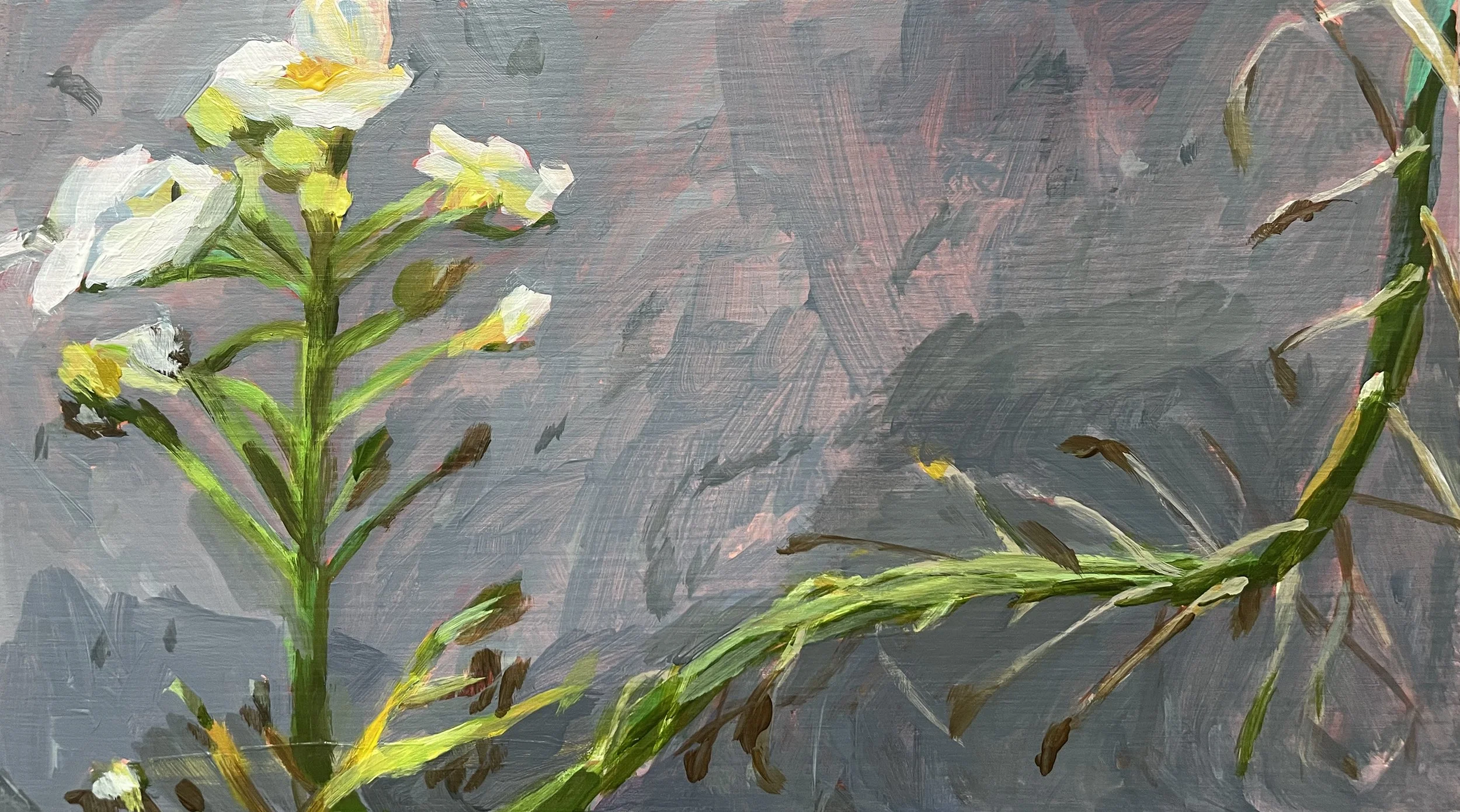 Sophia's garden 2, 2024
Acrylic on ply
23 x 12 cm