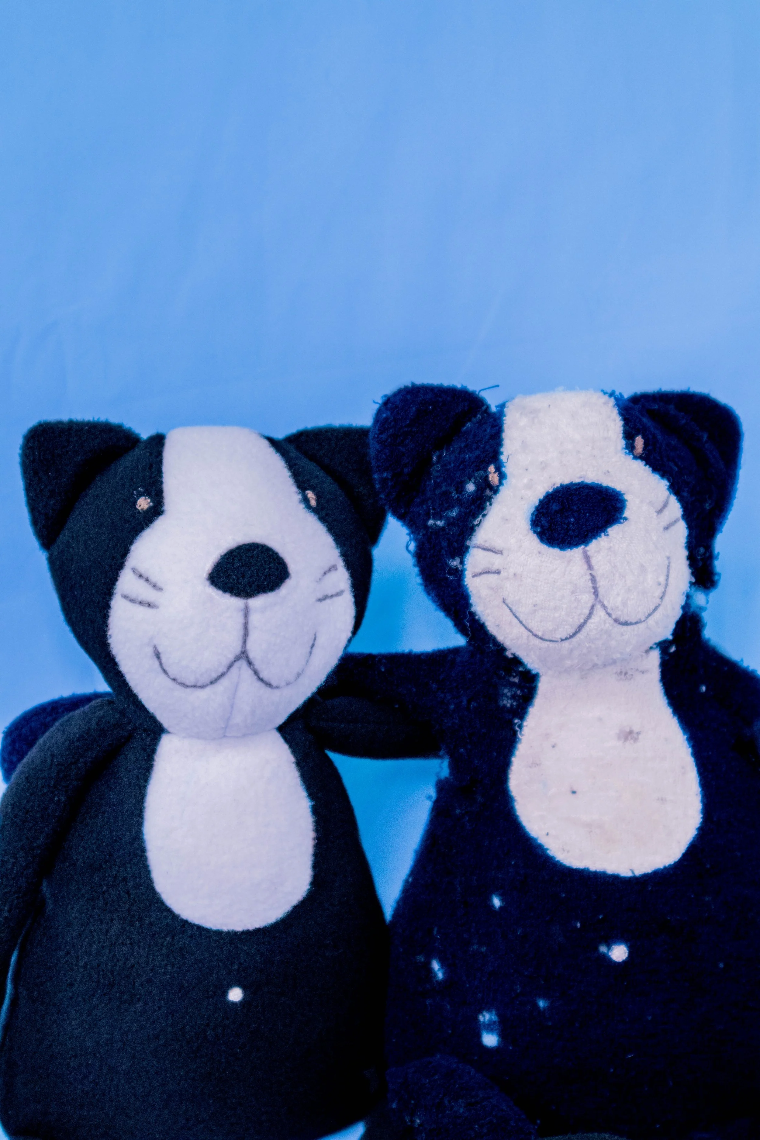 Two plush sock monkeys with black and white faces, white muzzles, and big black noses, against a light blue background.