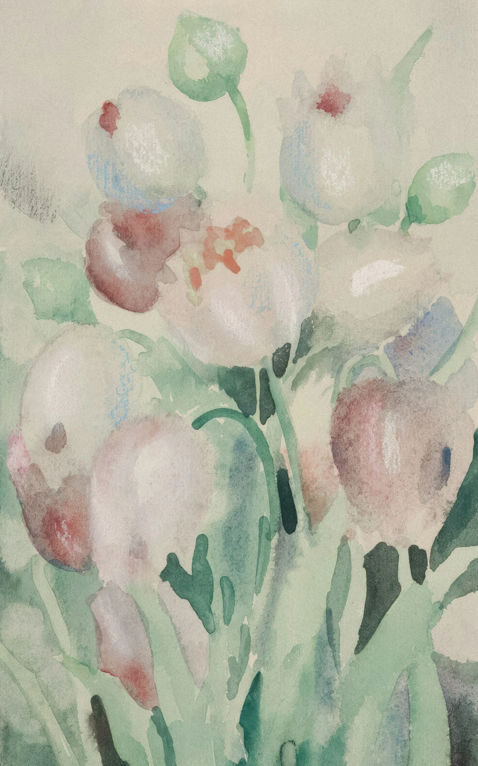 Soft watercolor painting of white flowers with green leaves and stems, with hints of red and black accents.