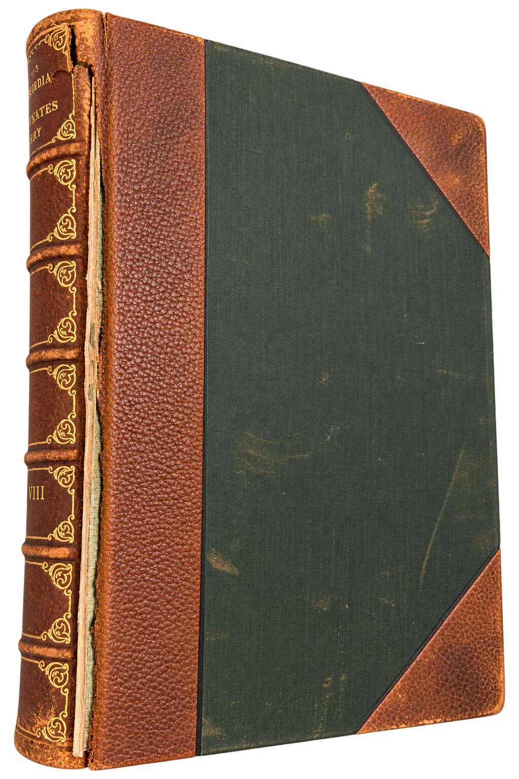 Codex Image Sep 1, 2026, 11_01_40 PM.png