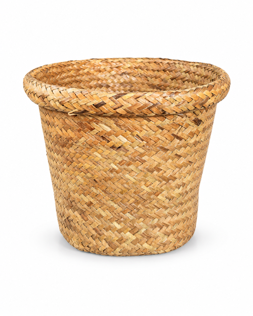 EED106ED-C33B-4FF8-9A72-E19056AFCB0B.PNG