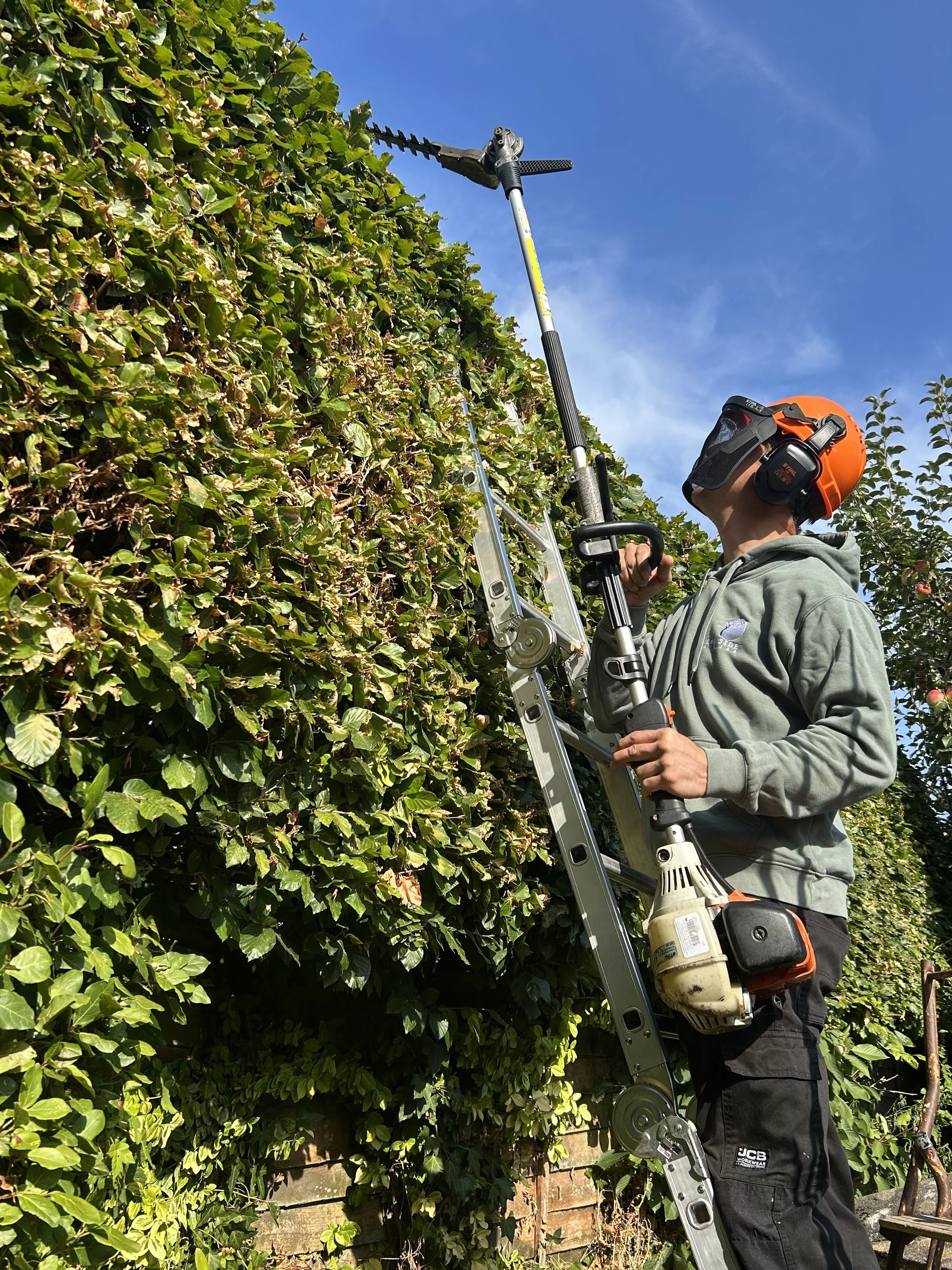 A person trimming a green hedge with a pole saw while standing on a ladder. The person is wearing a gray hoodie, black work pants with a JCB logo, orange safety helmet, and hearing protection. The background features a blue sky and trees.