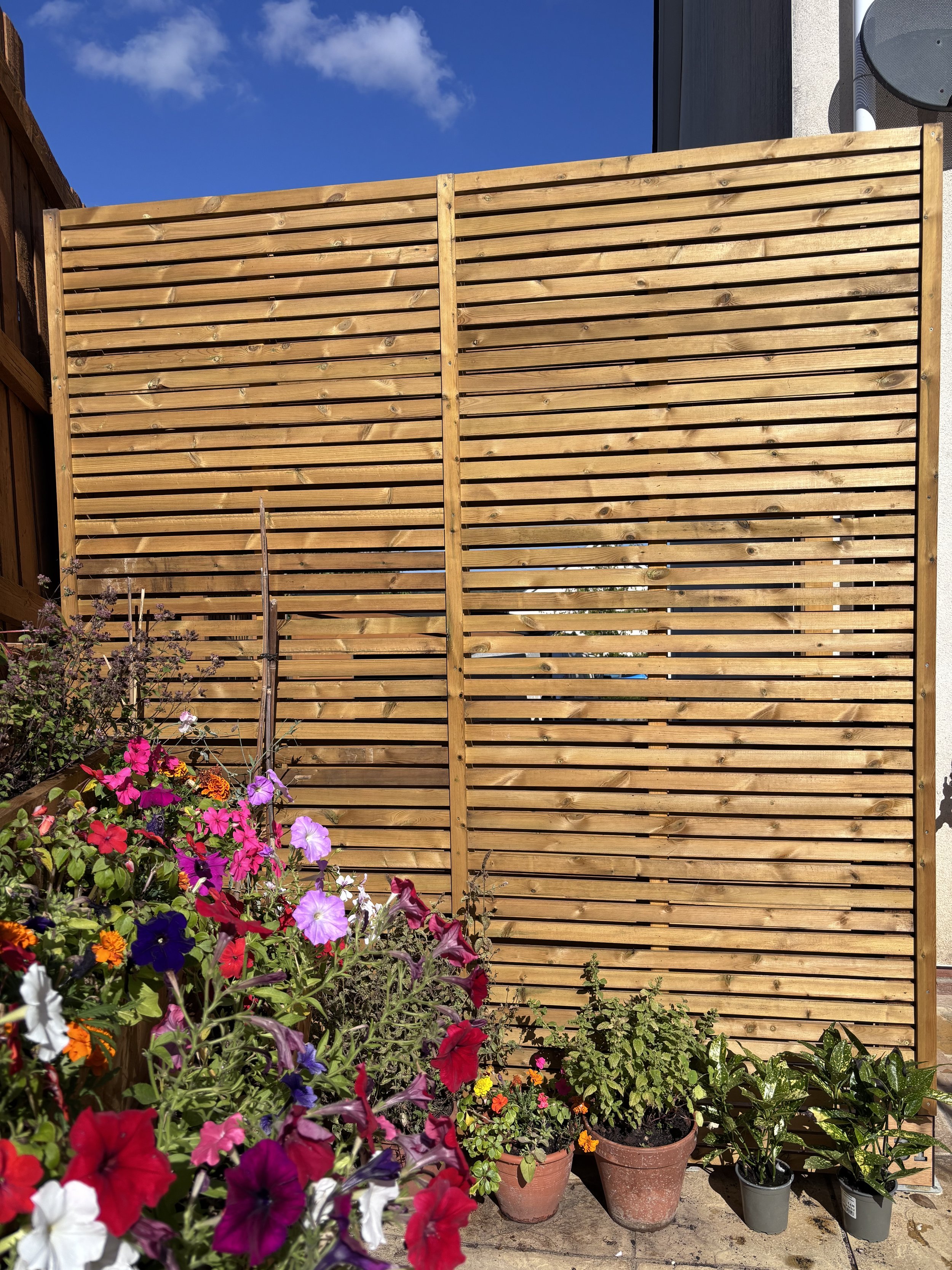 A garden with colorful flowers in pots and a wooden privacy screen in the background under a blue sky with some clouds.