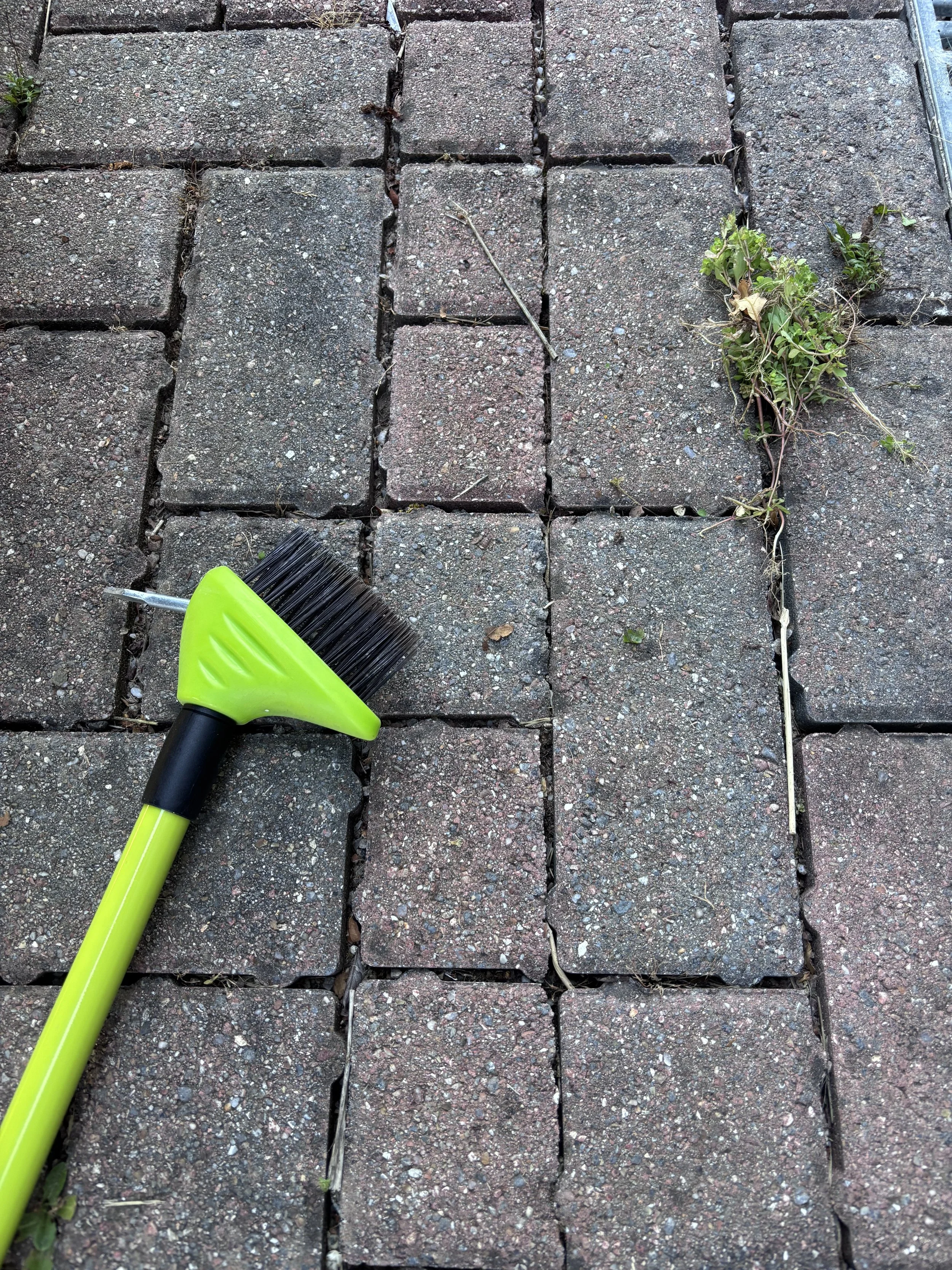 A close-up photograph of an outdoor brick pathway with a small green hand broom resting on the surface, and some weeds growing between the bricks.