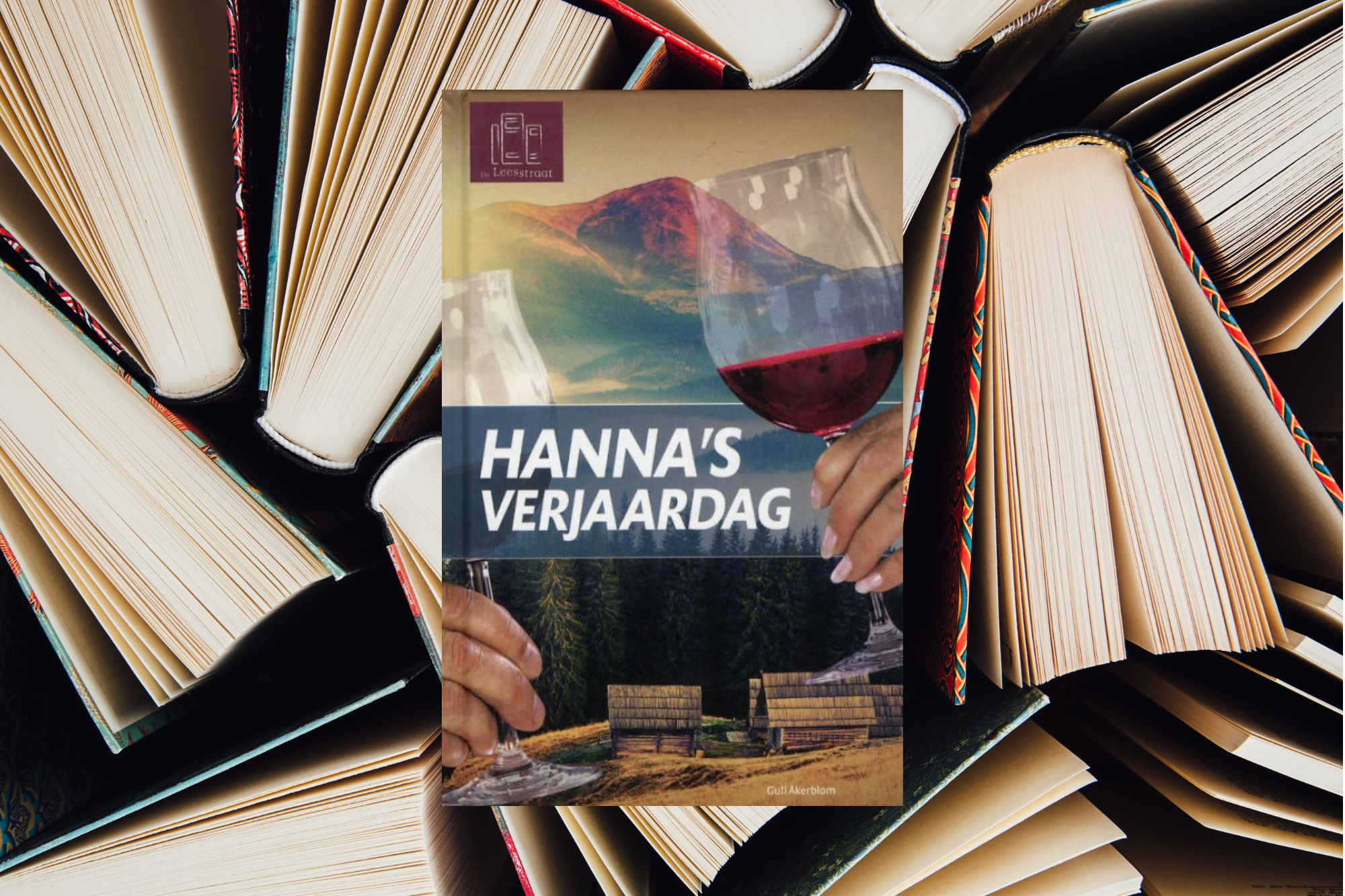 Afl. 49 - ✨WINACTIE✨ Leesboekje: Hanna's verjaardag (A1/A2)