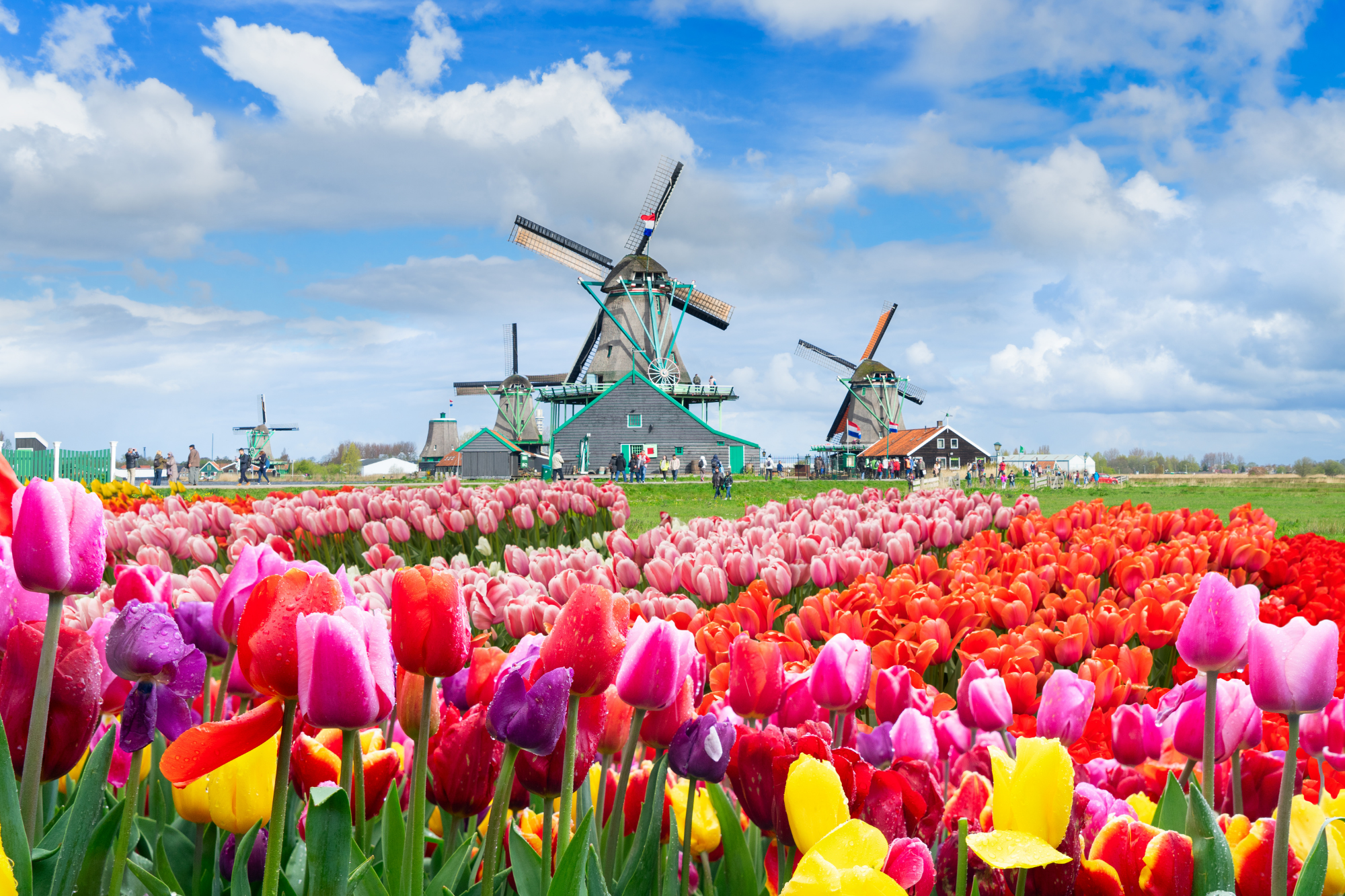 Afl. 23 - Lente in Nederland
