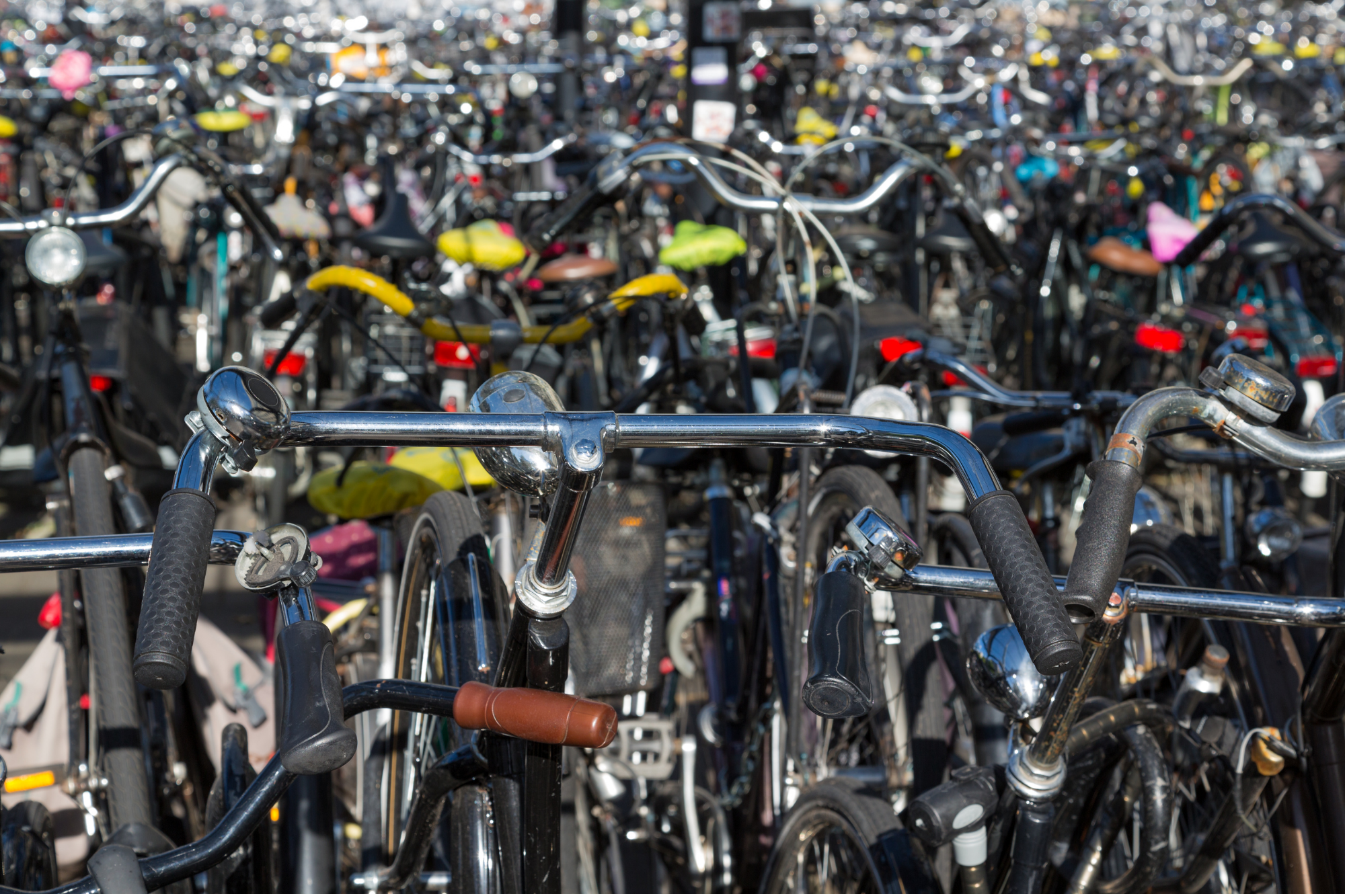 Afl. 13 - De Nederlandse fietscultuur