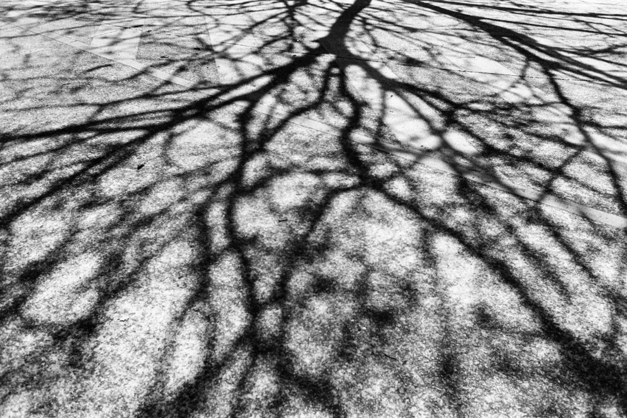 LauraNadal_ImagesFromSaoPaulo_2025-20.jpeg
