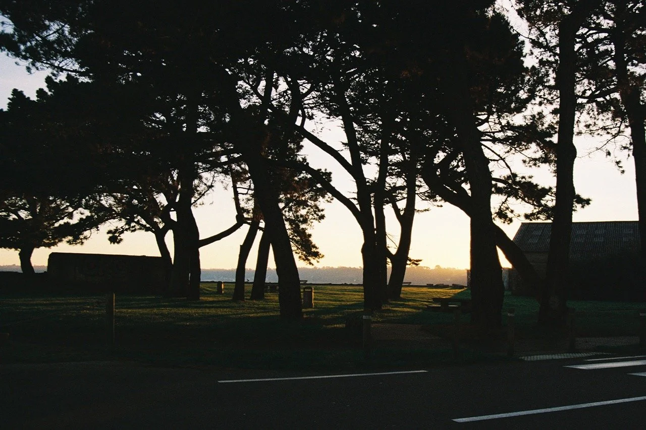 LauraNadal_OnTheWayHome-12.jpeg