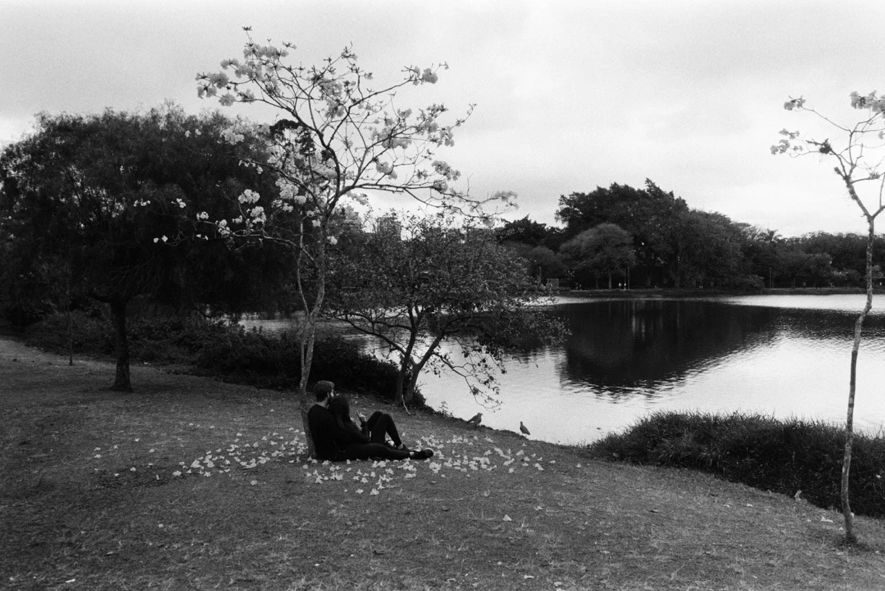 LauraNadal_ImagesFromSaoPaulo_2025-4.jpeg