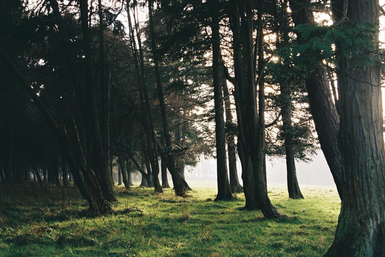 LauraNadal_OnTheWayHome-18.jpeg