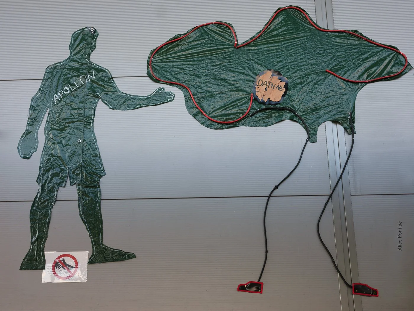 "Apollon" und "Daphne" - Alice Pontiac