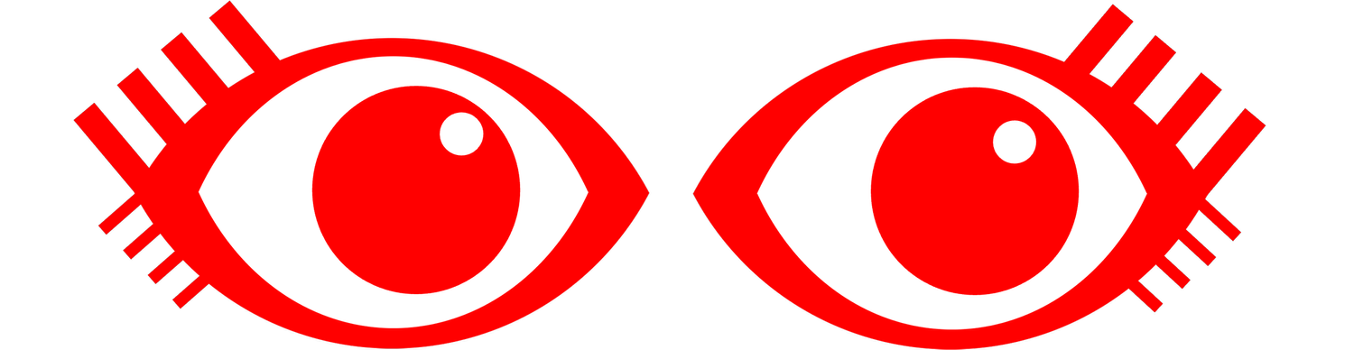 fresh eyes revision