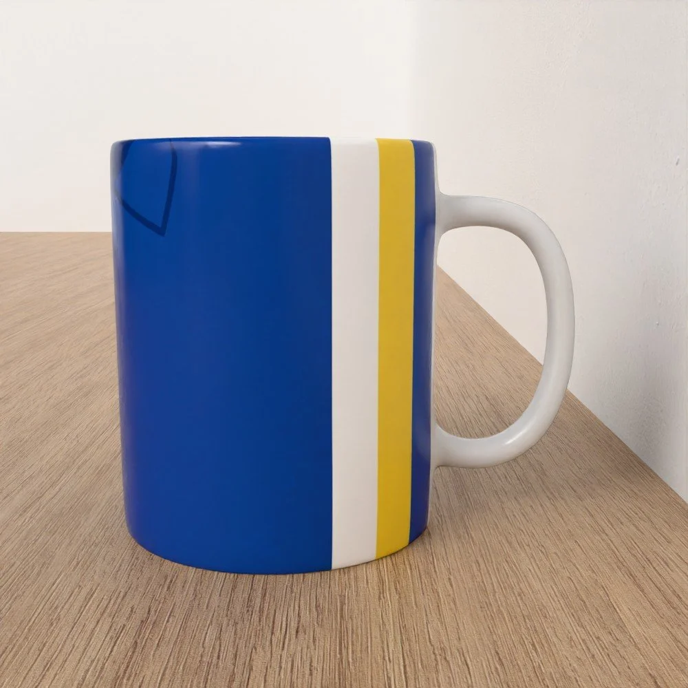 cardiff city mock up.jpg