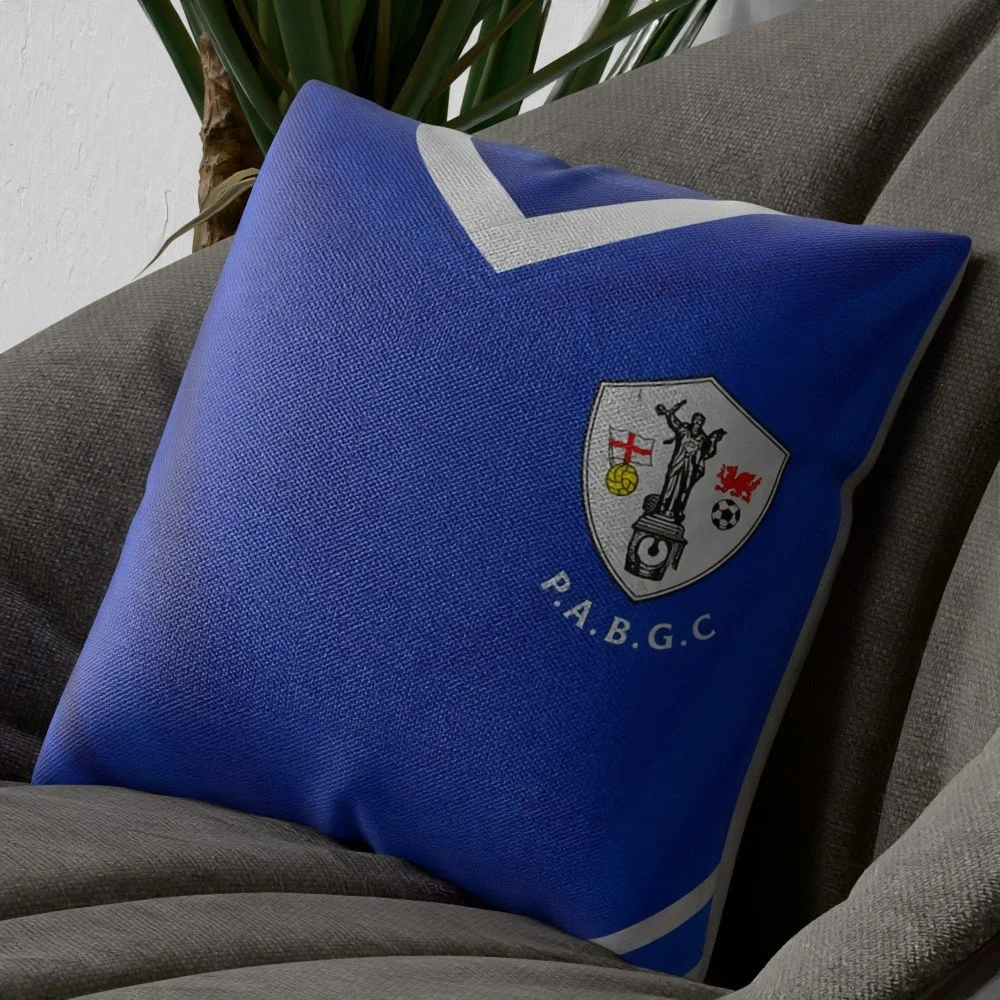 cushion mock up.jpg
