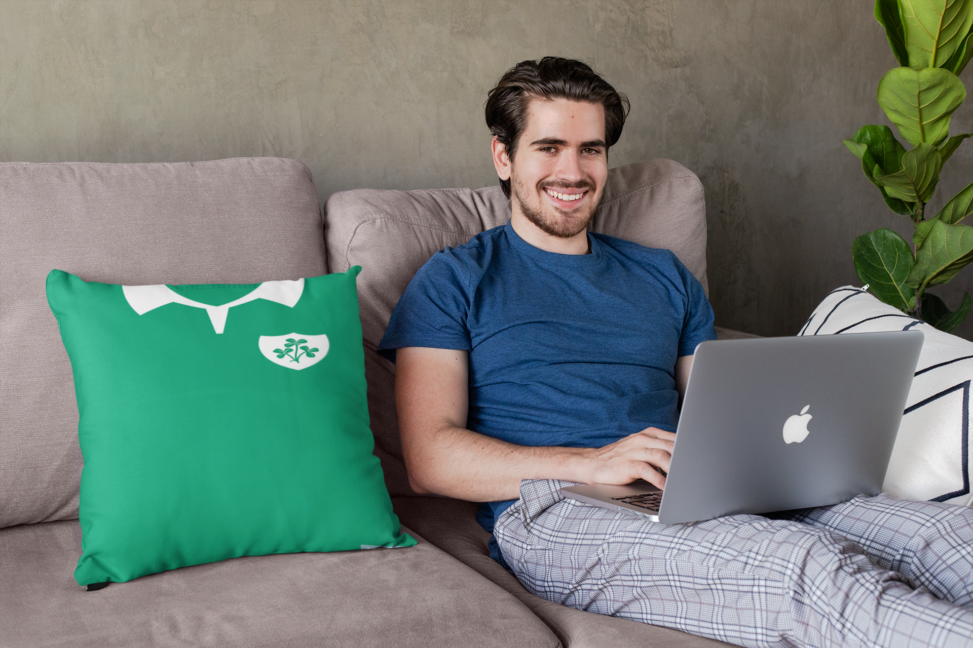 ireland cushion mock up v2.png
