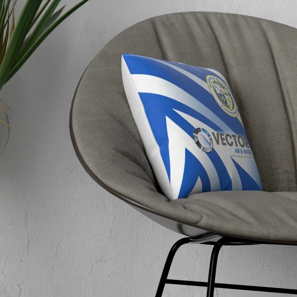 cushion mock up v1.jpg