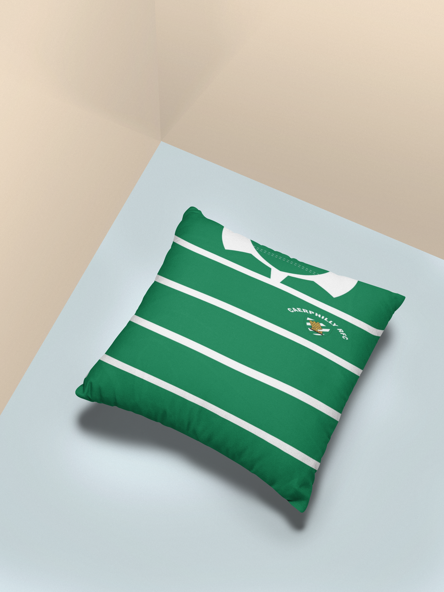 cushion mock up.png