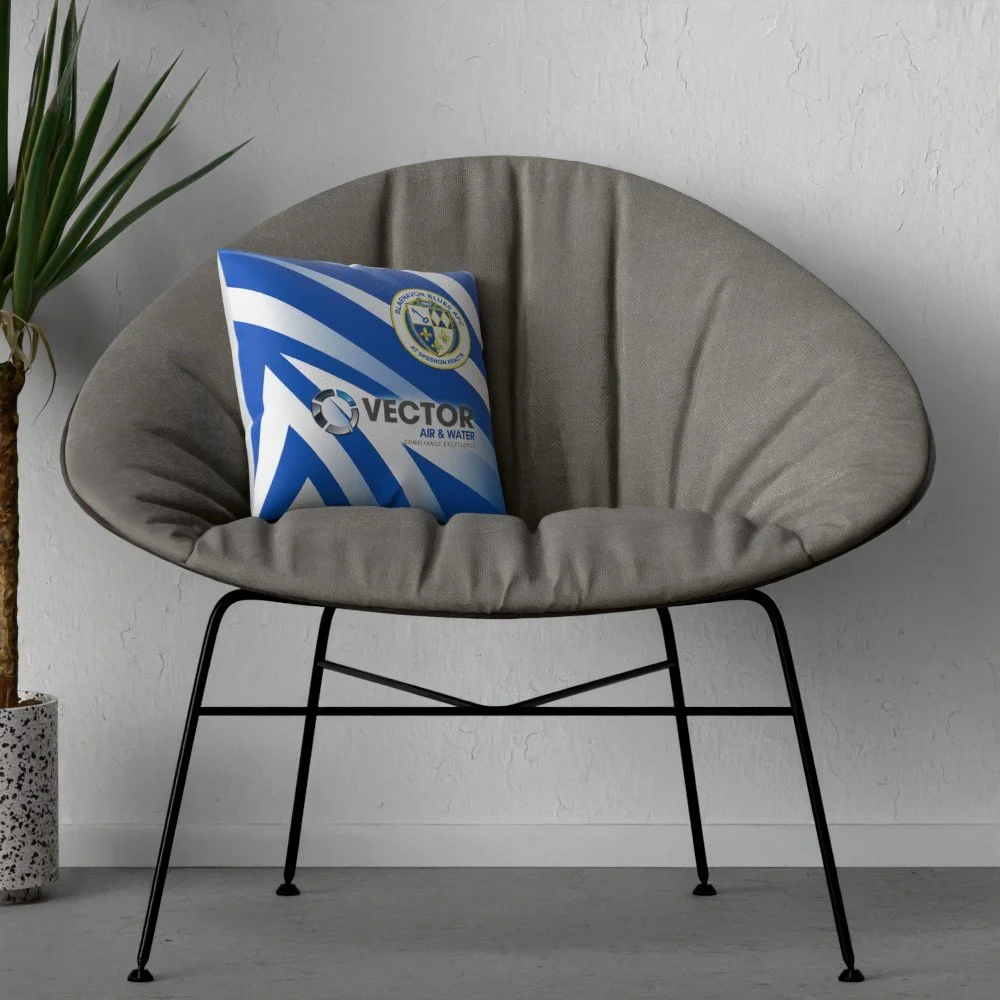 cushion mock up v2.jpg