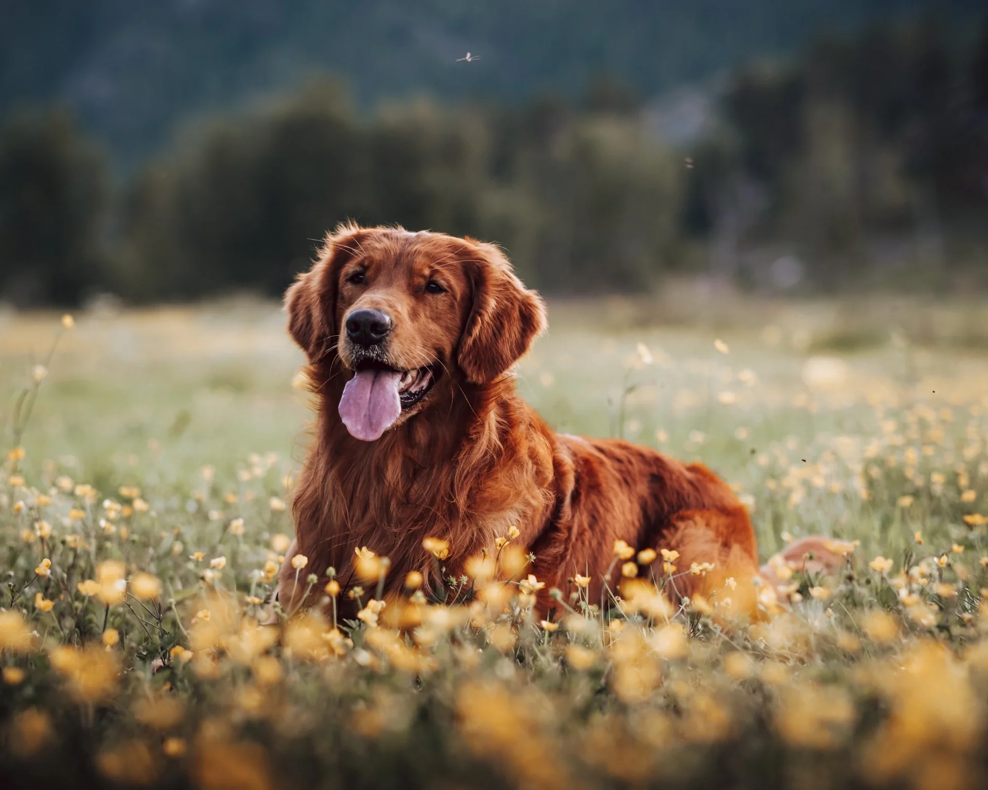 DSCF4129.webp
