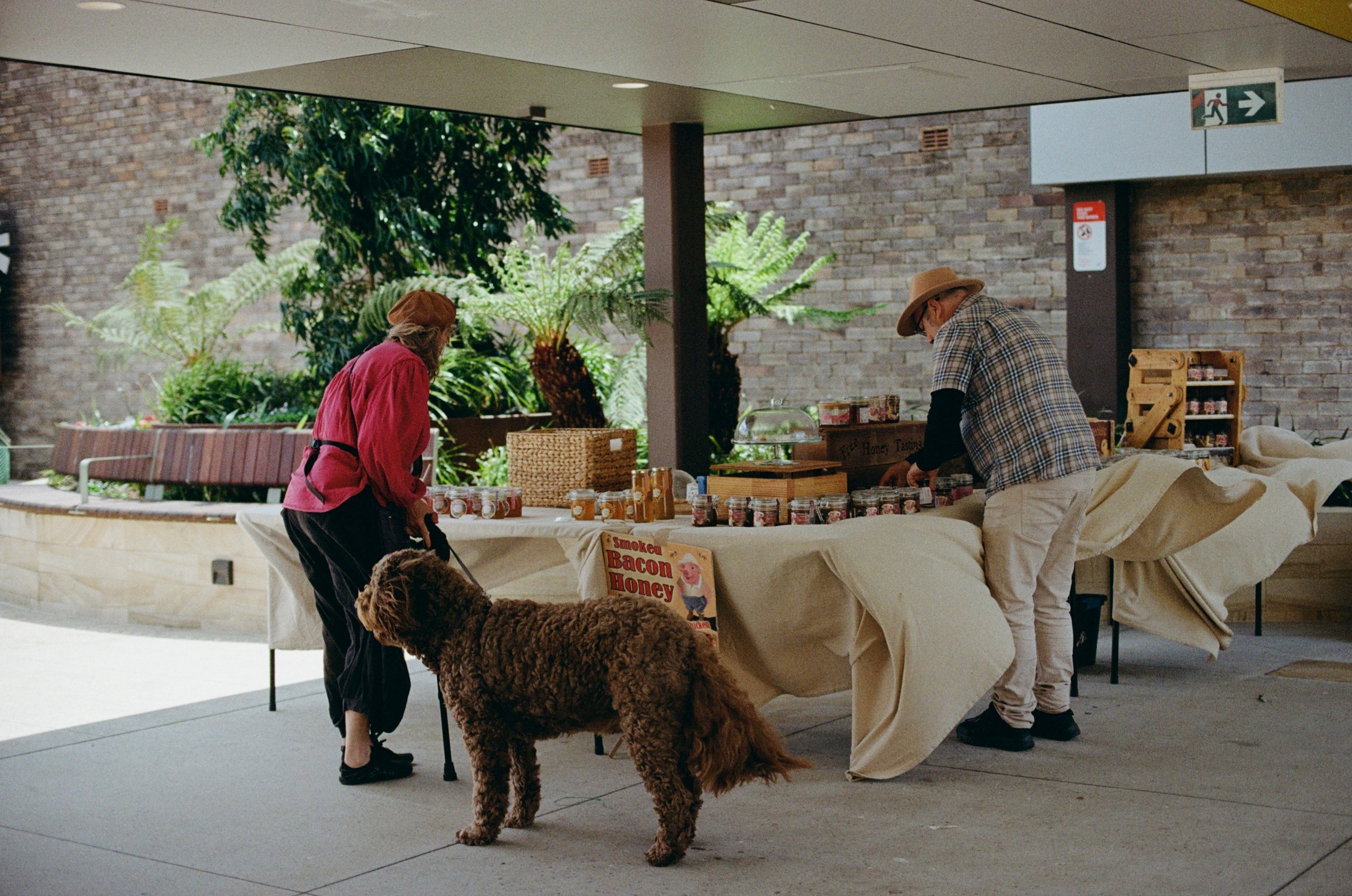 Two people at a market stall selling honey, with a woman with gray hair and red jacket and a man wearing a checkered shirt and wide-brimmed hat, accompanied by a large curly-haired dog, under an outdoor shelter surrounded by green plants and a brick 
