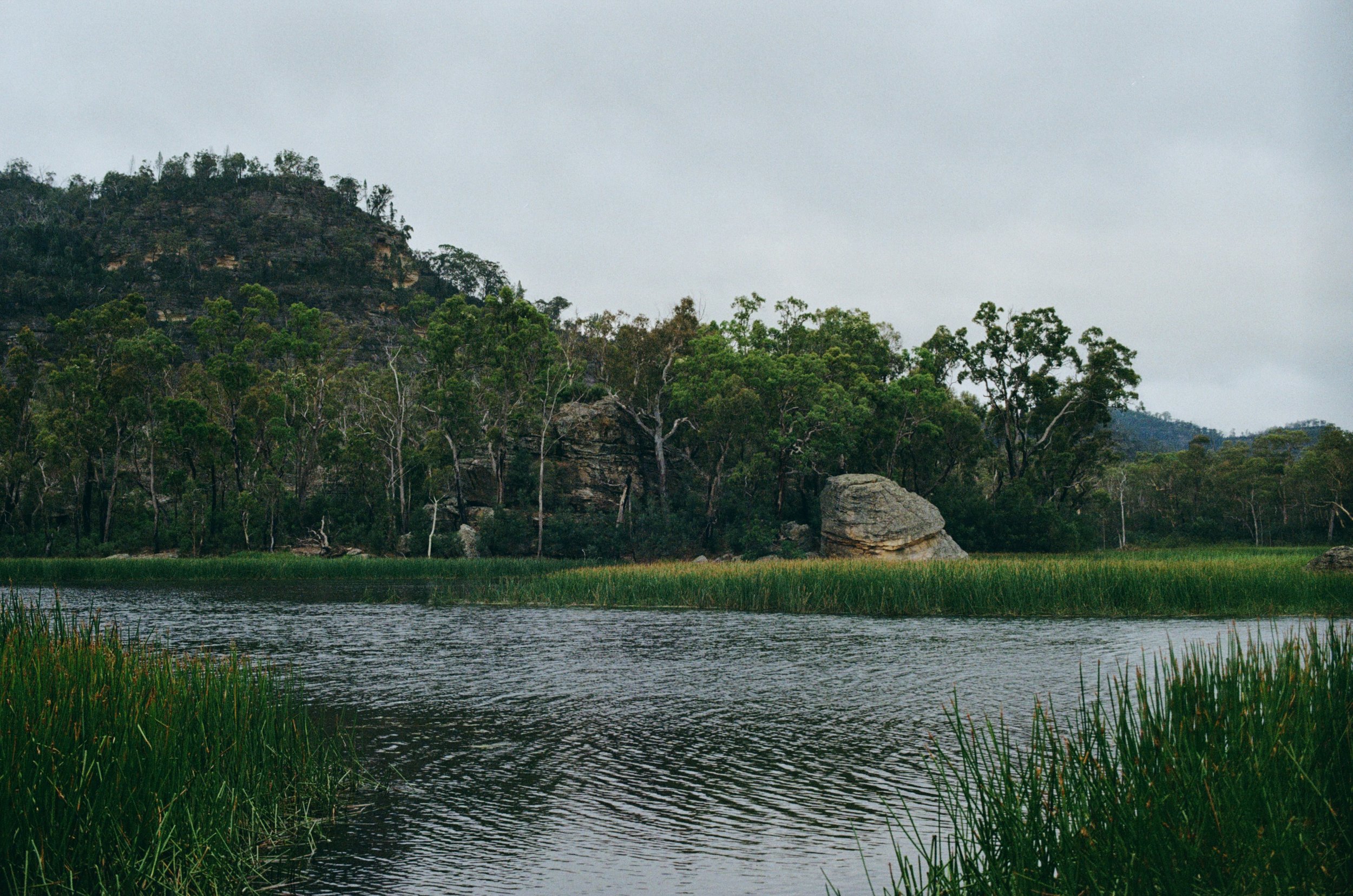 A serene landscape of a river/swamp surrounded by green grass and dense trees, with a rocky hill in the background under a cloudy sky in the Australian bush.