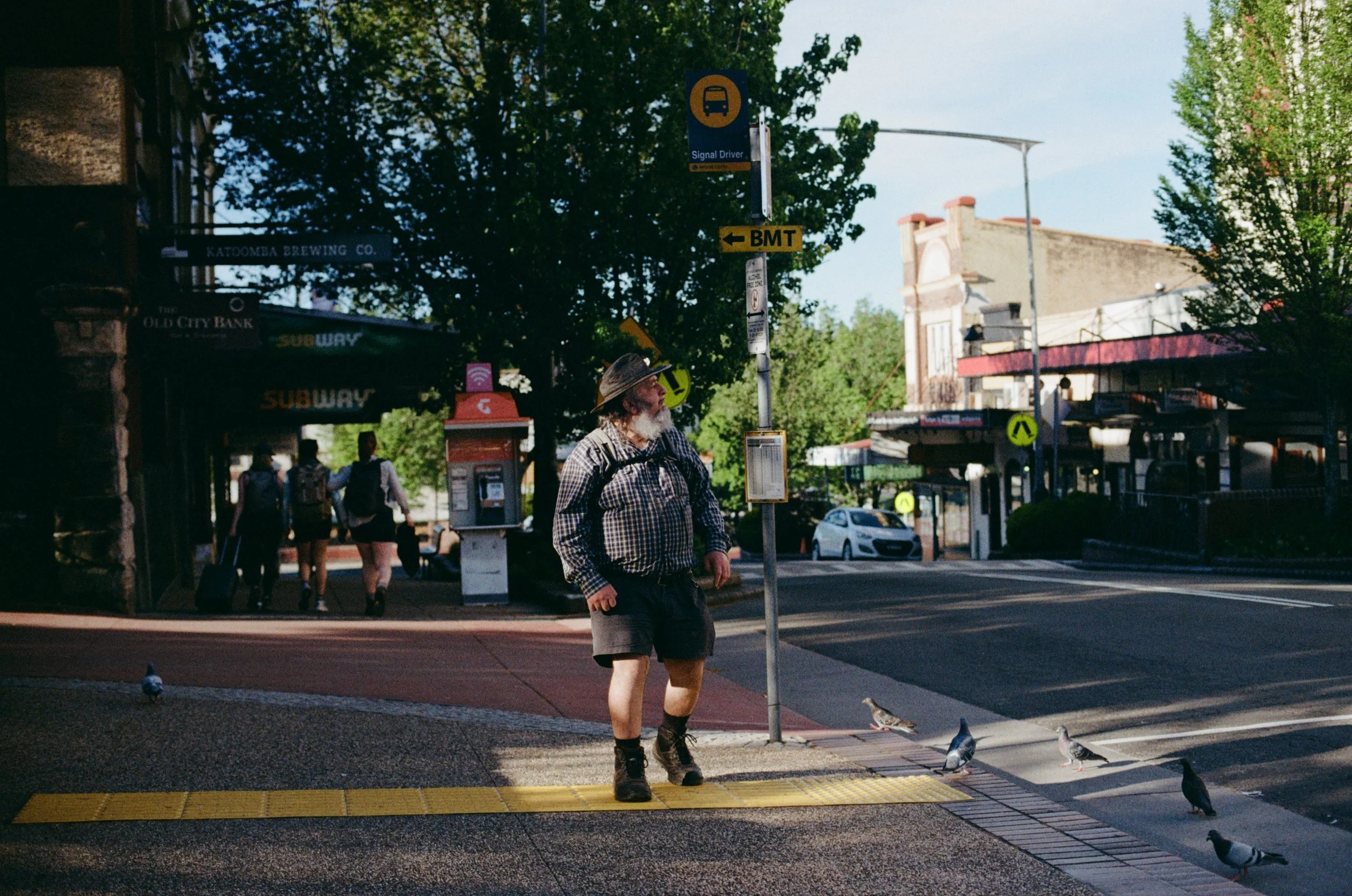 A man with a beard, wearing a plaid shirt, shorts, and a wide-brimmed hat, standing at a crosswalk in an urban area with pigeons on the ground nearby. Behind him are people walking, street signs, trees, and buildings.