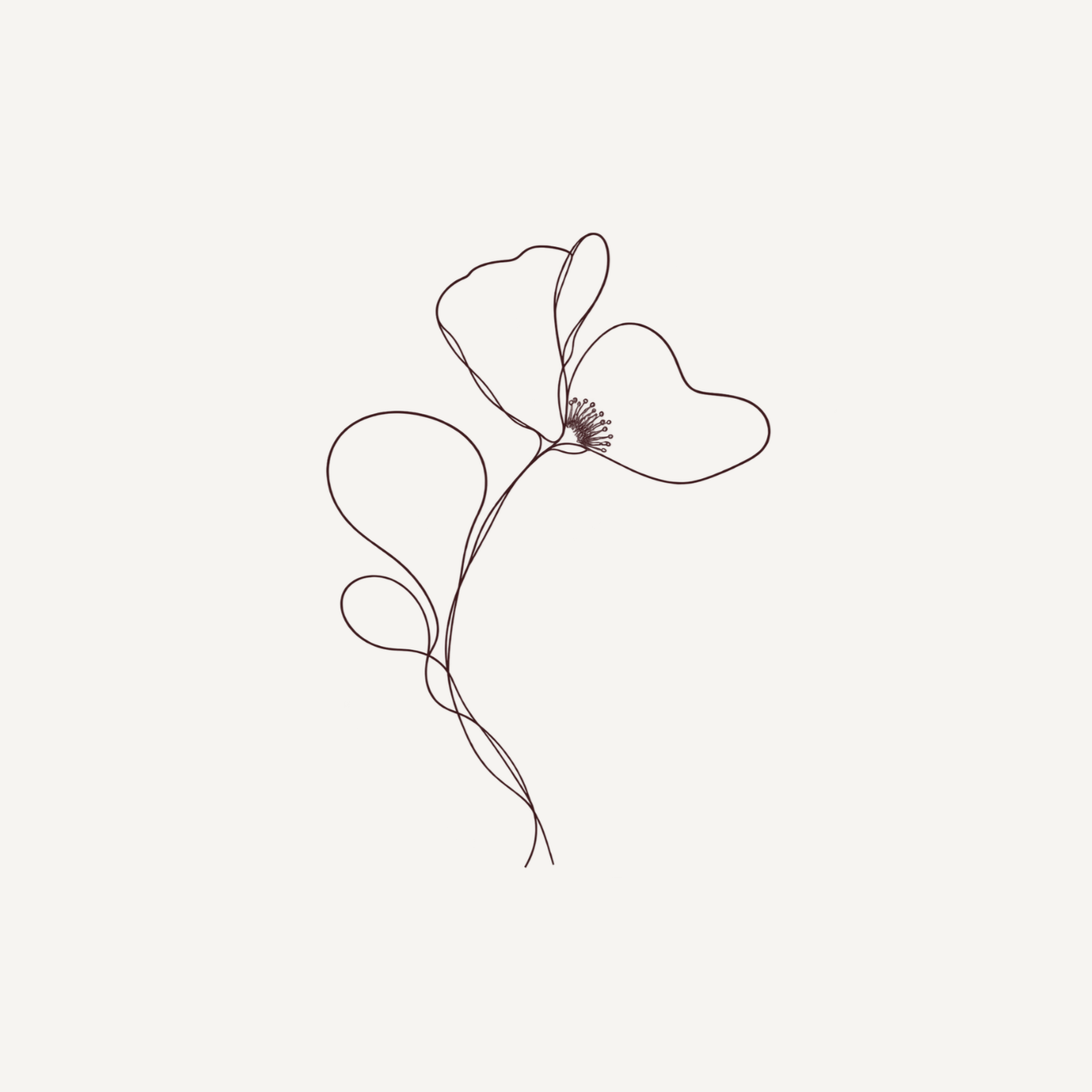 Minimalist line drawing of a flower with flowing, continuous lines on a light background.