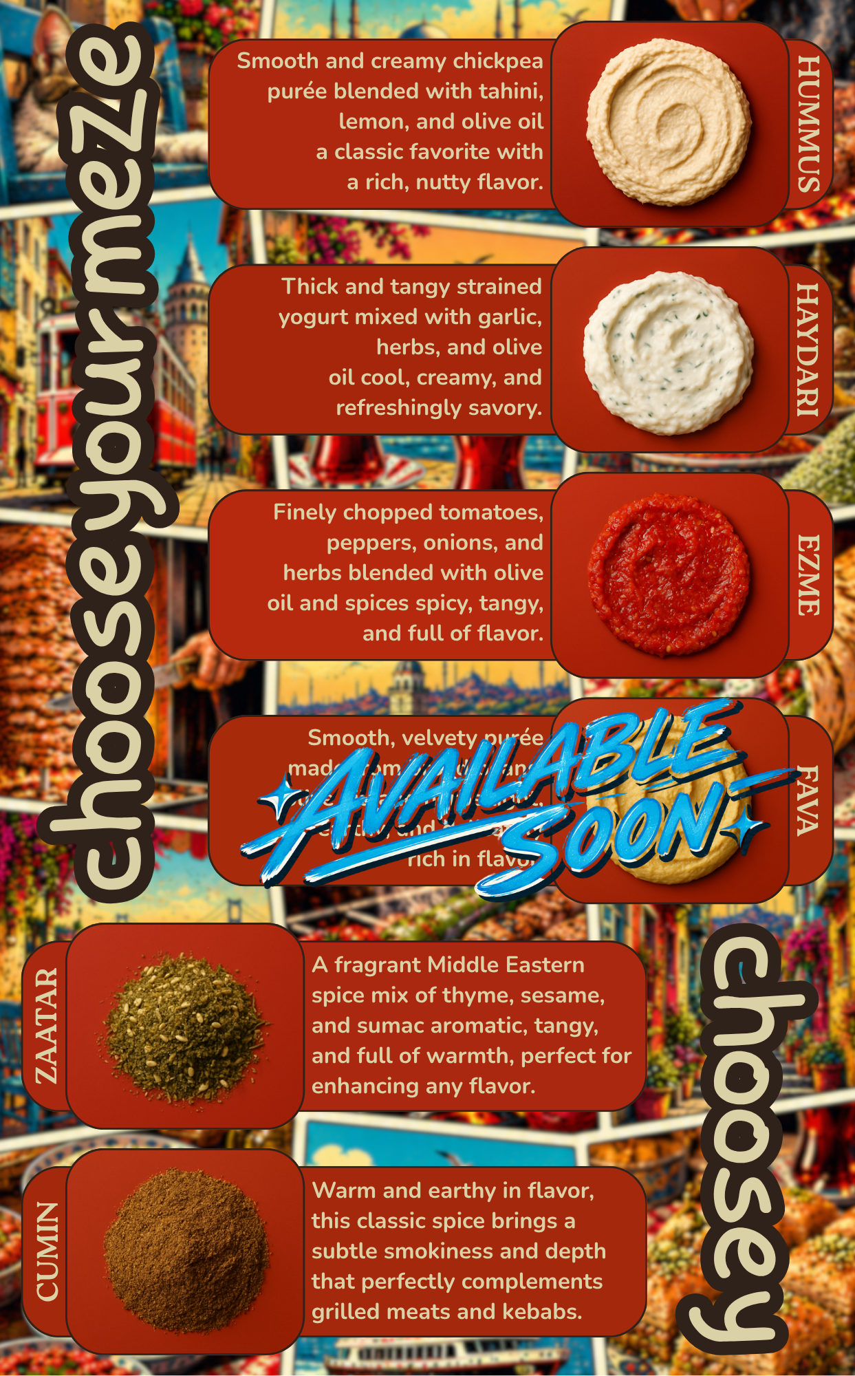 A food chart showing different types of Turkish spreads and seasonings. The chart includes hummus, haydari, ezme, favs, zaatar, and cumin, each with a description of flavor and ingredients.